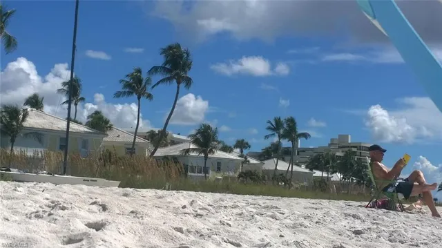 a view of water pond with lots of trees