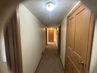 40 Race Street, Unit 2D Manor, PA 15665 - Photo 8 of 9 a view of hallway