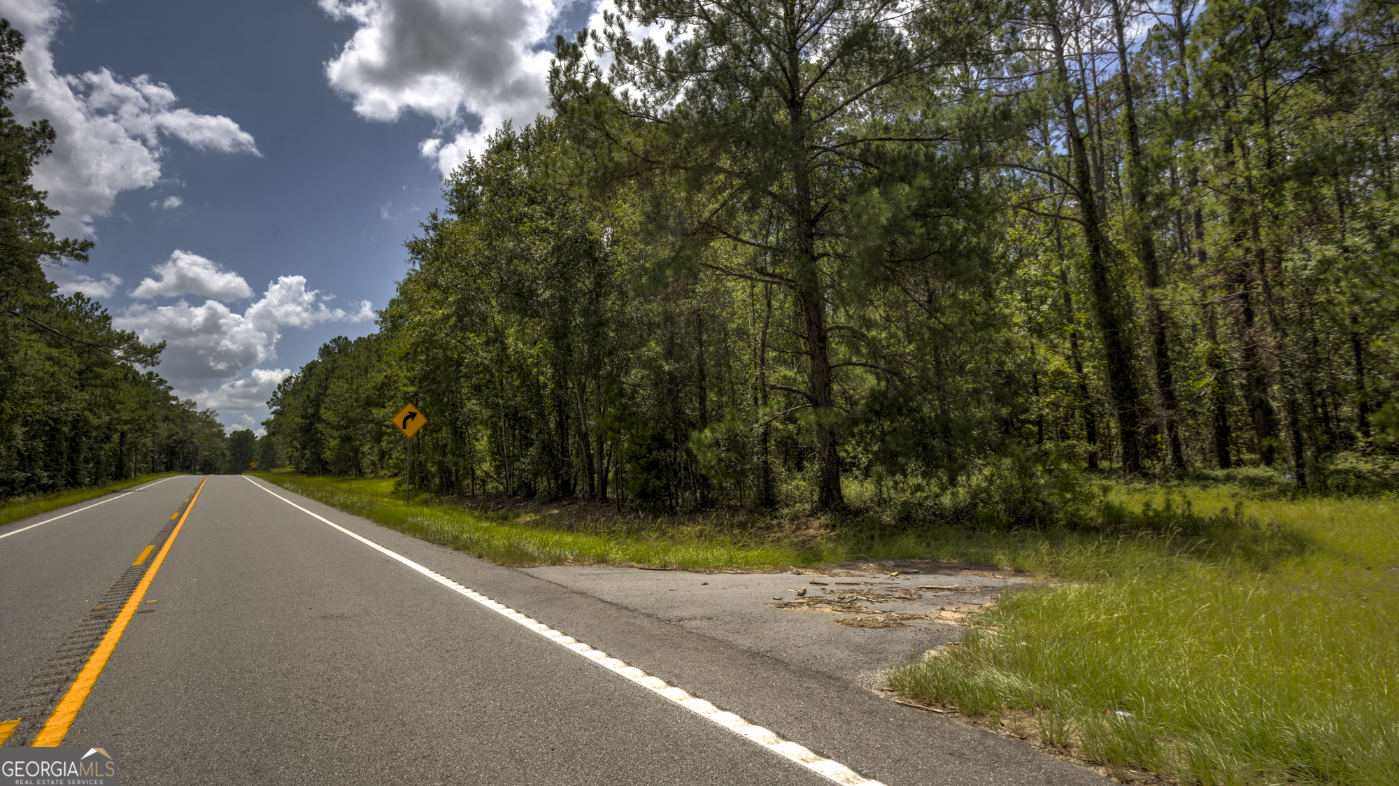 0 Stafford Road Claxton, GA 30417 - Photo 11 of 15 Gallery Image 11