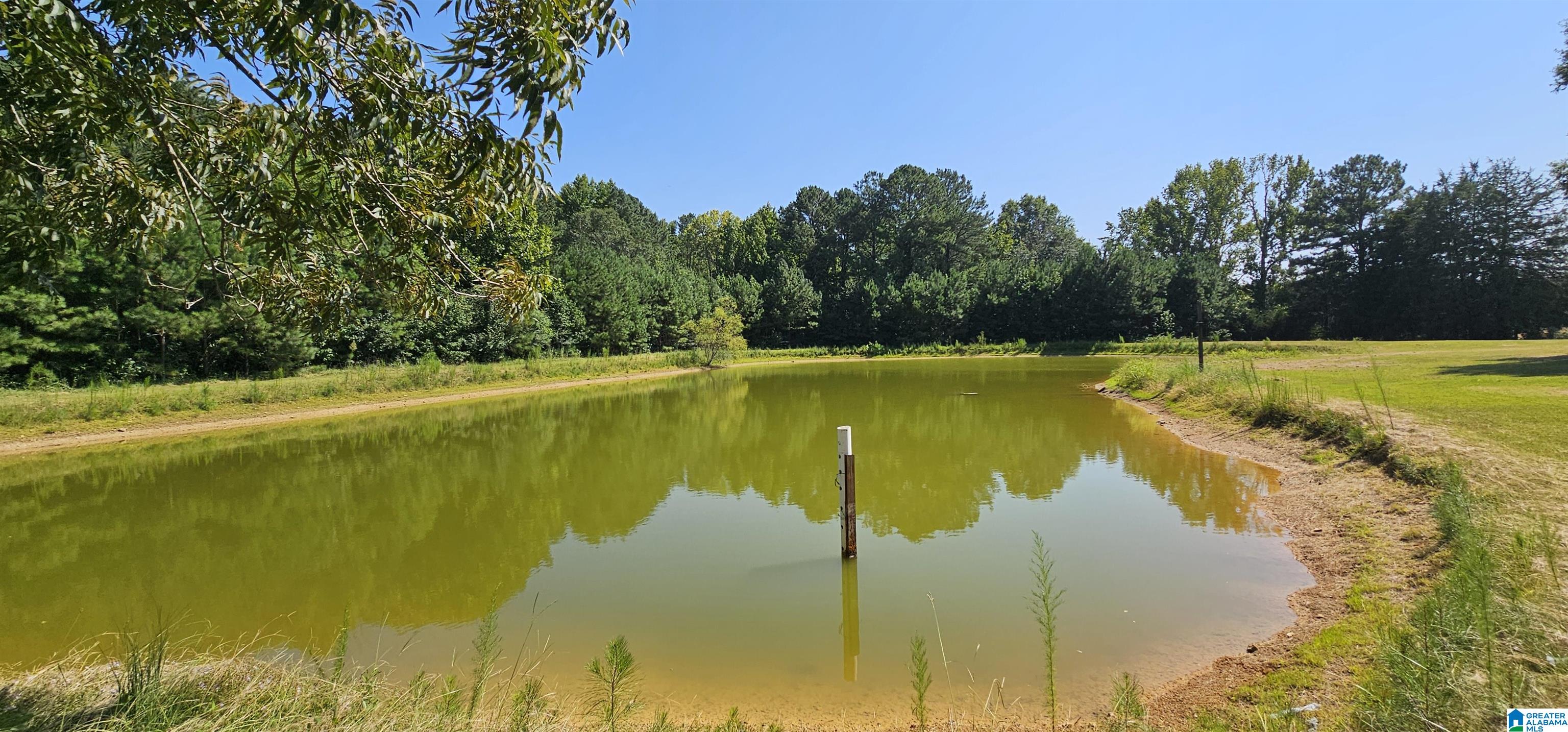 1218 Beason Cove Road Steele, AL 35987 - Photo 7 of 20