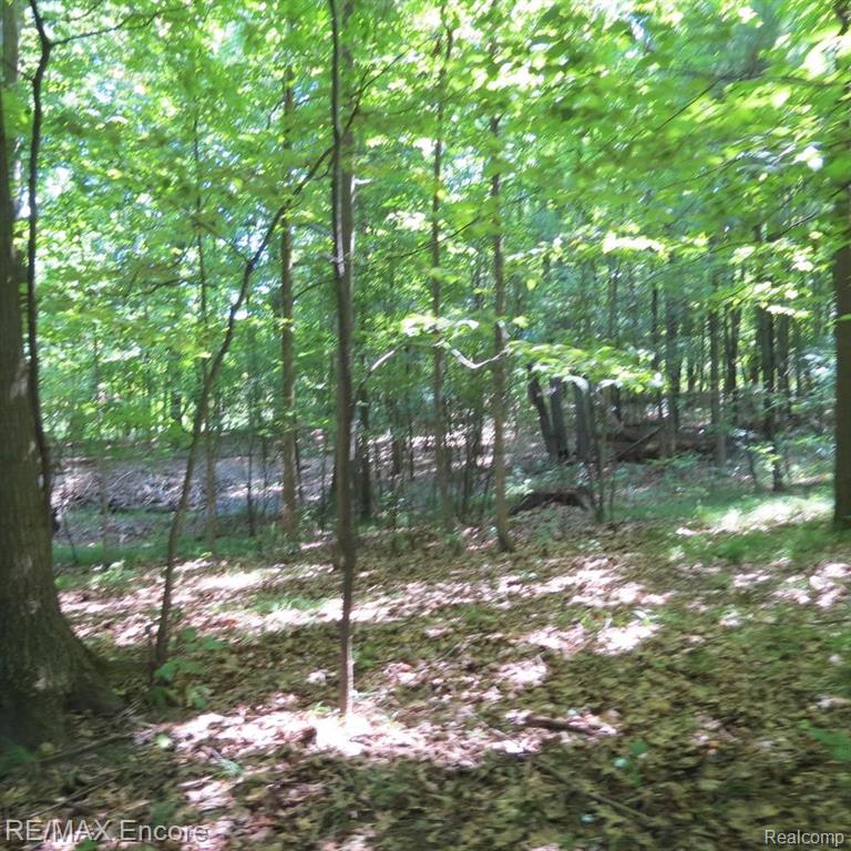 4435 Hadley Road Metamora, MI 48455 - Photo 15 of 19
