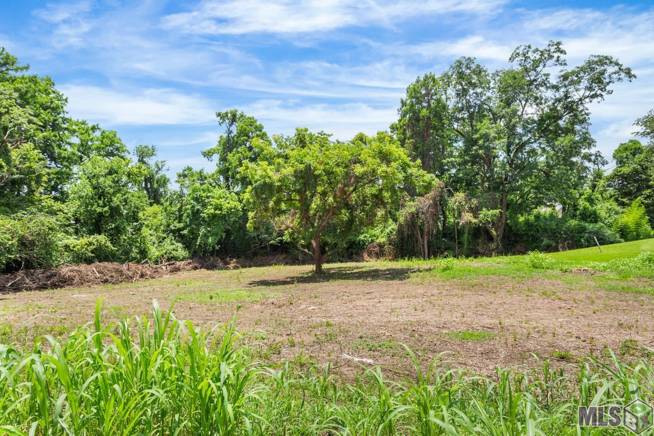 7690 Highland Road Baton Rouge, LA 70808 - Photo 3 of 13