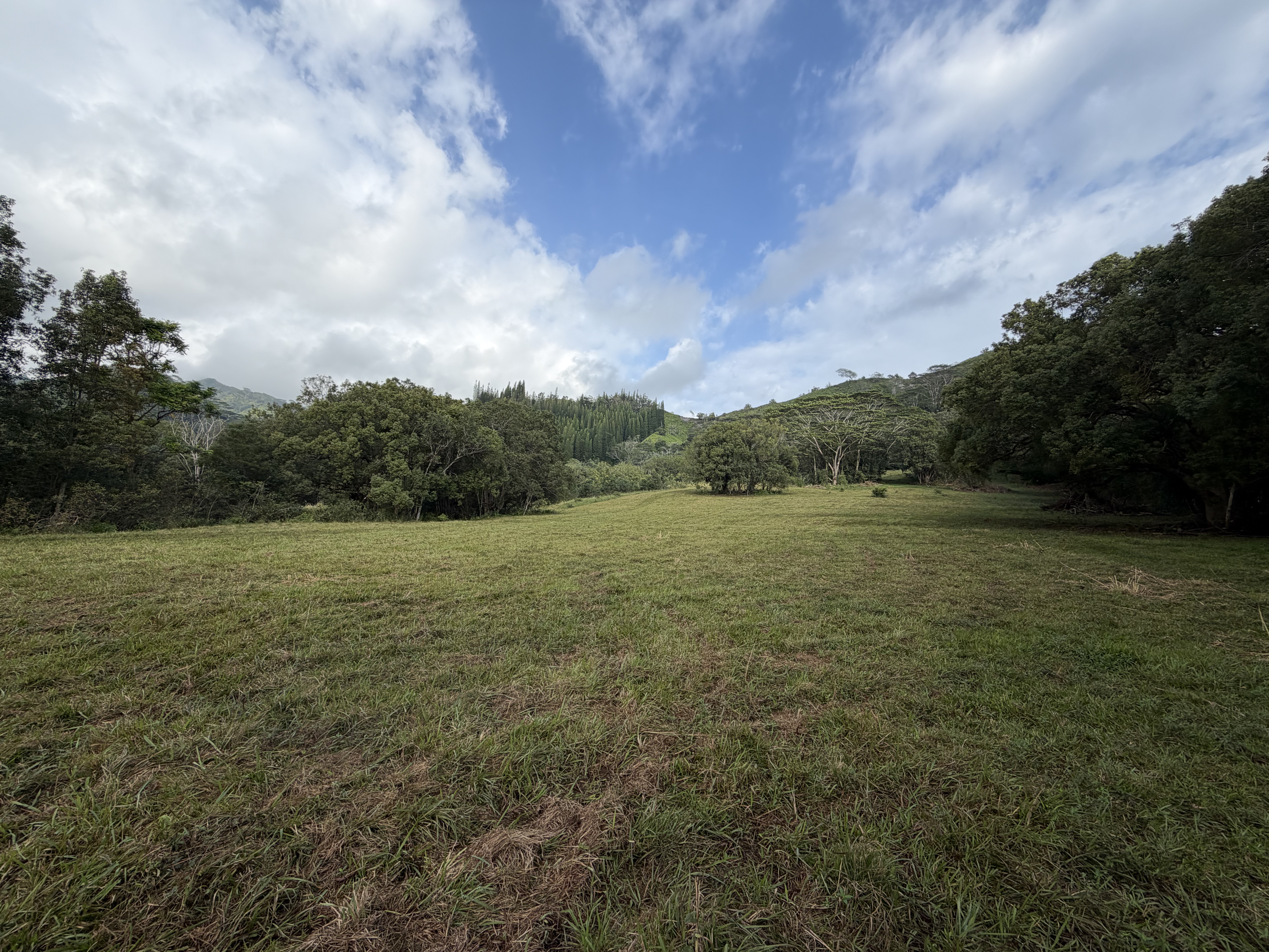 55 Ahiahi Road Kapaa, HI 96746 - Photo 1 of 26 a view of a field with an ocean