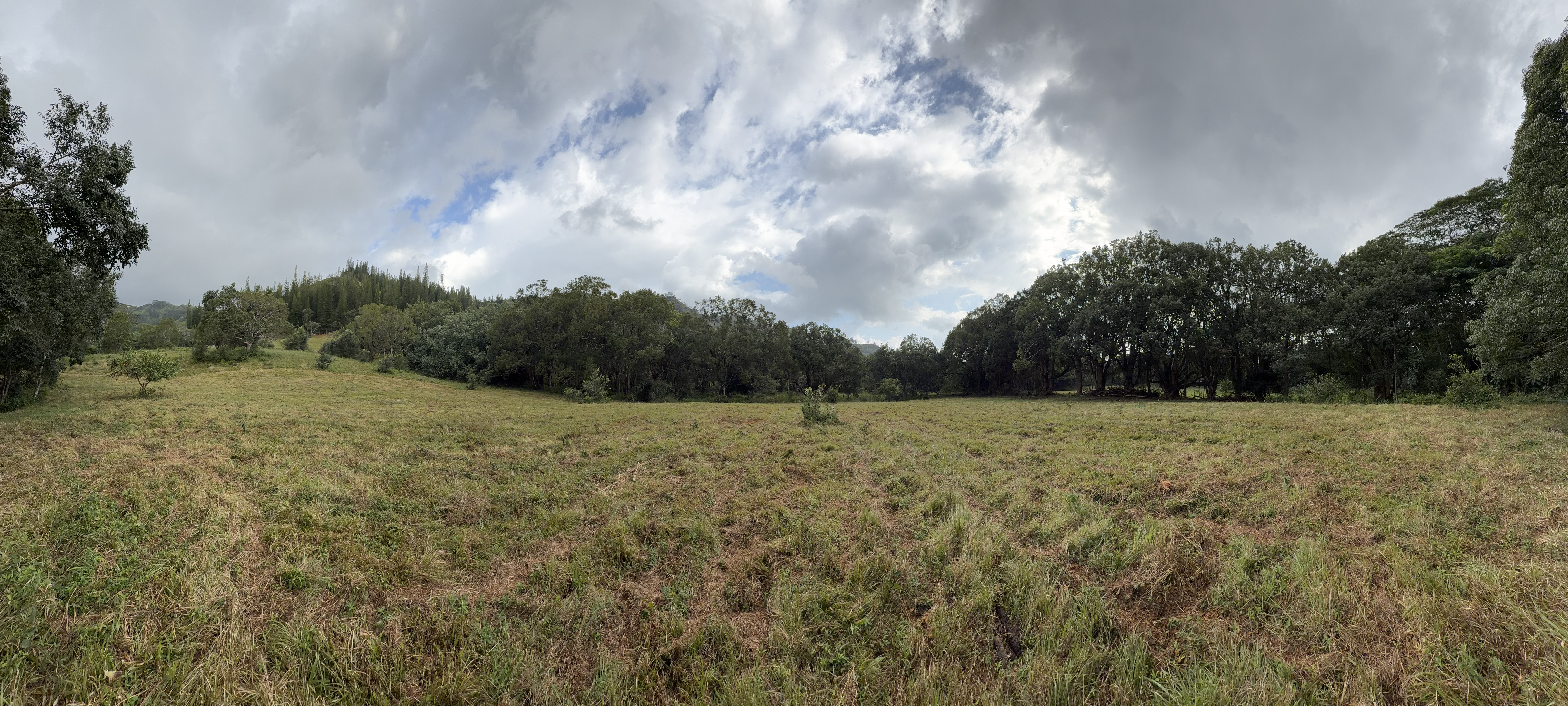 55 Ahiahi Road Kapaa, HI 96746 - Photo 11 of 26 a view of a field