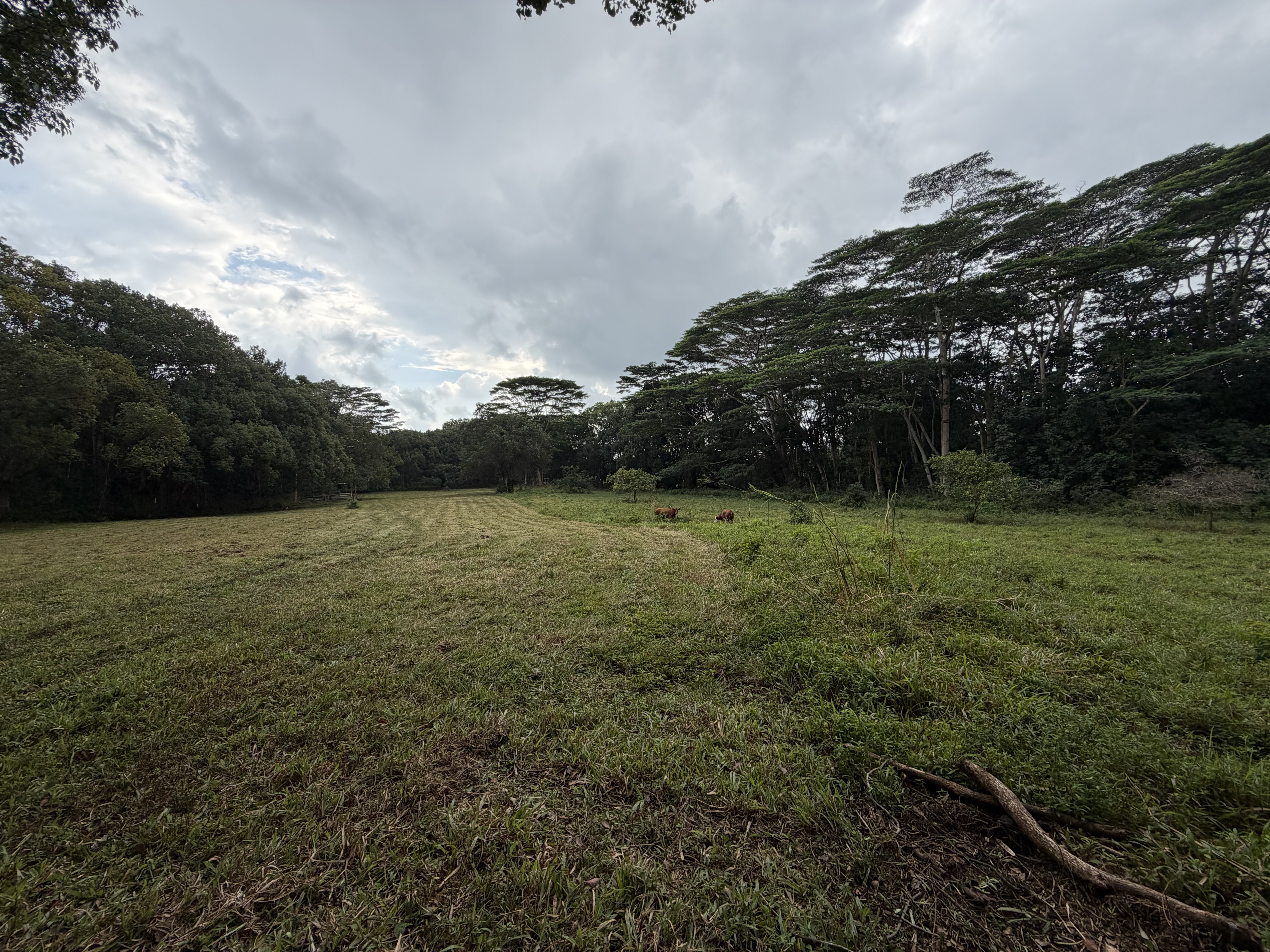 55 Ahiahi Road Kapaa, HI 96746 - Photo 14 of 26 a view of outdoor space and yard