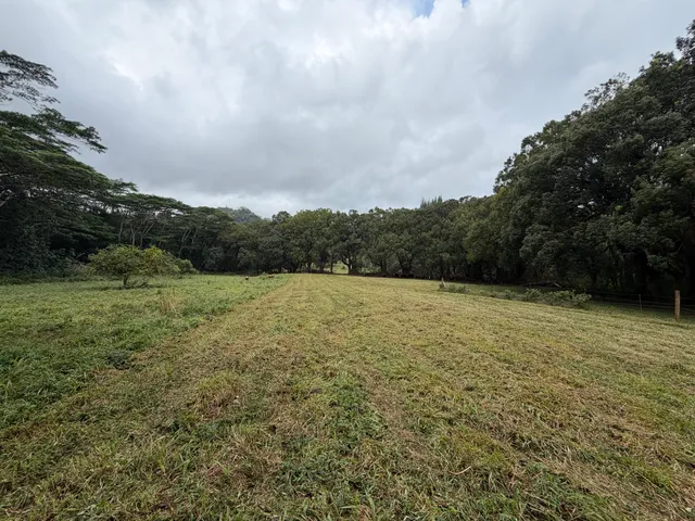 a view of a green field with wooden fence