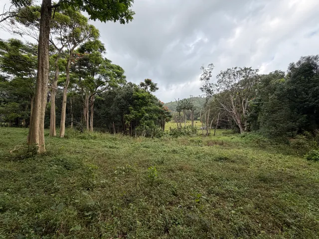 a view of outdoor space and green space
