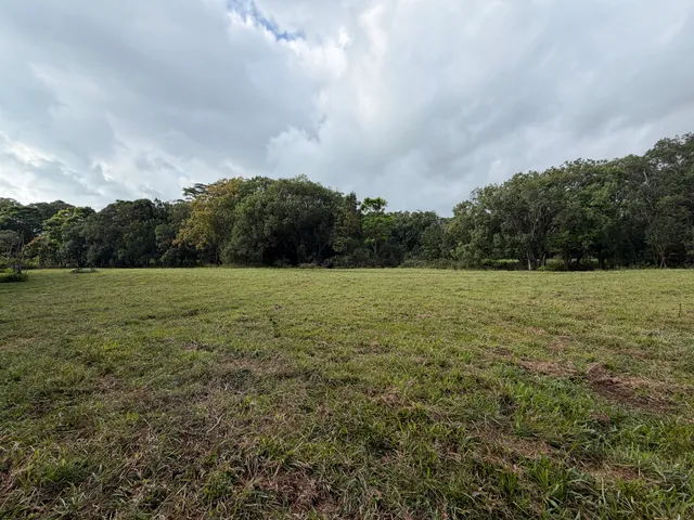 a view of a field with an aerial of it