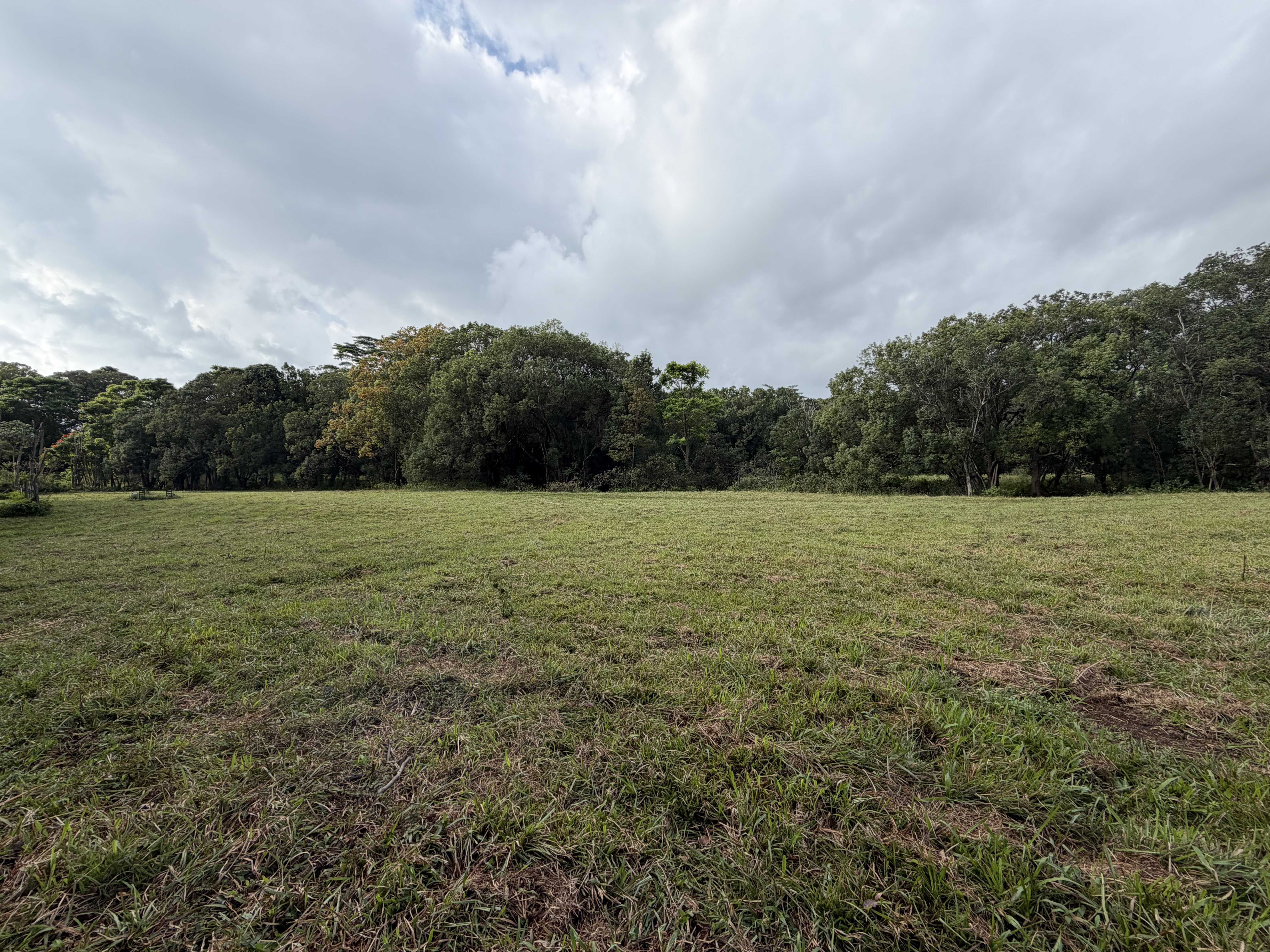 55 Ahiahi Road Kapaa, HI 96746 - Photo 20 of 26 a view of a field with an aerial of it