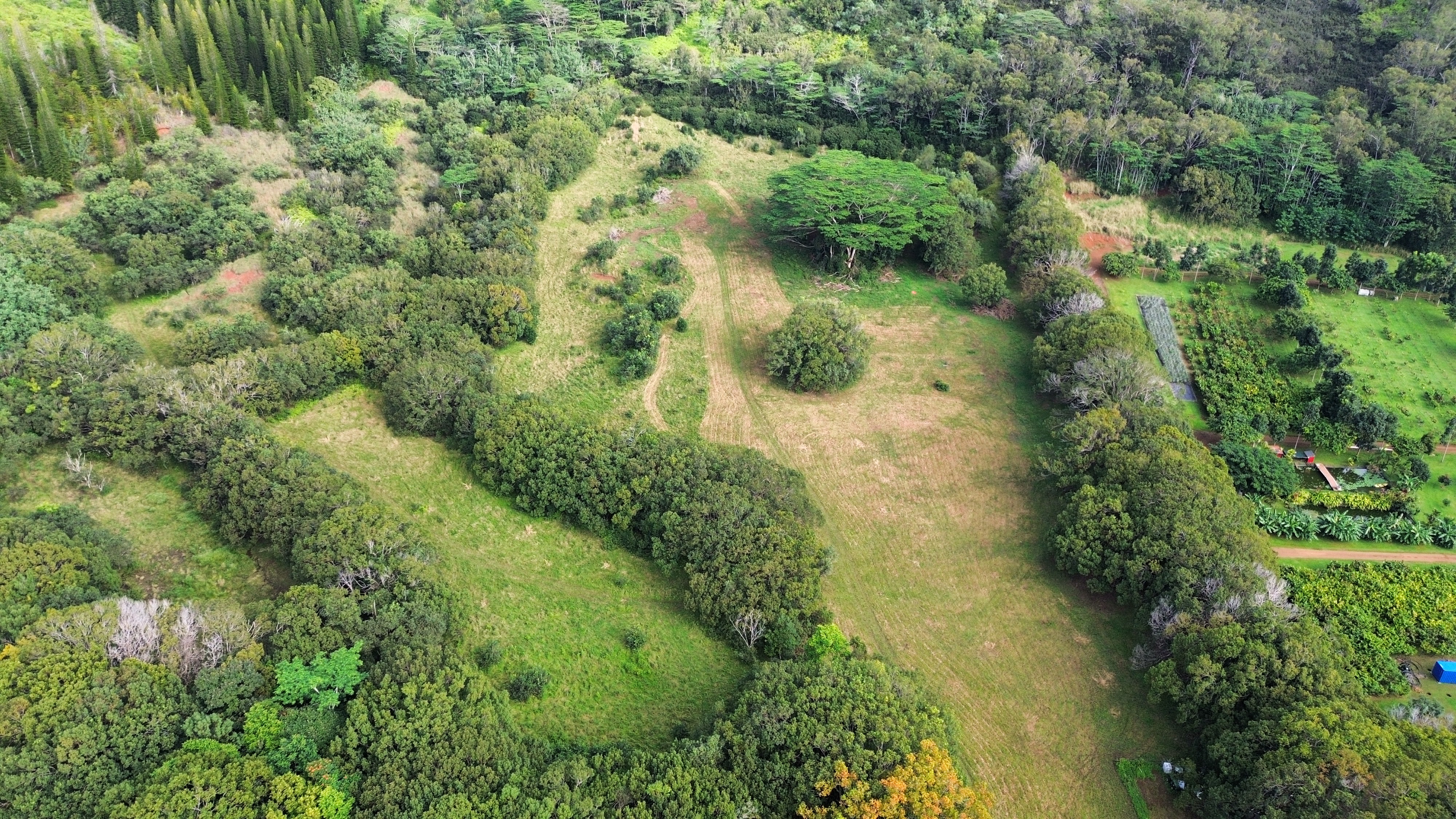 55 Ahiahi Road Kapaa, HI 96746 - Photo 2 of 26 a view of a garden