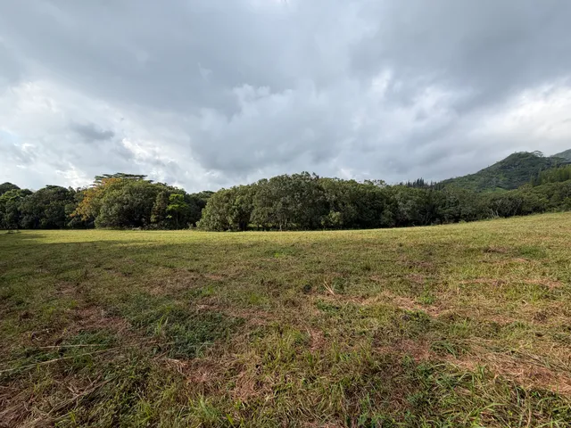 a view of a field with an ocean