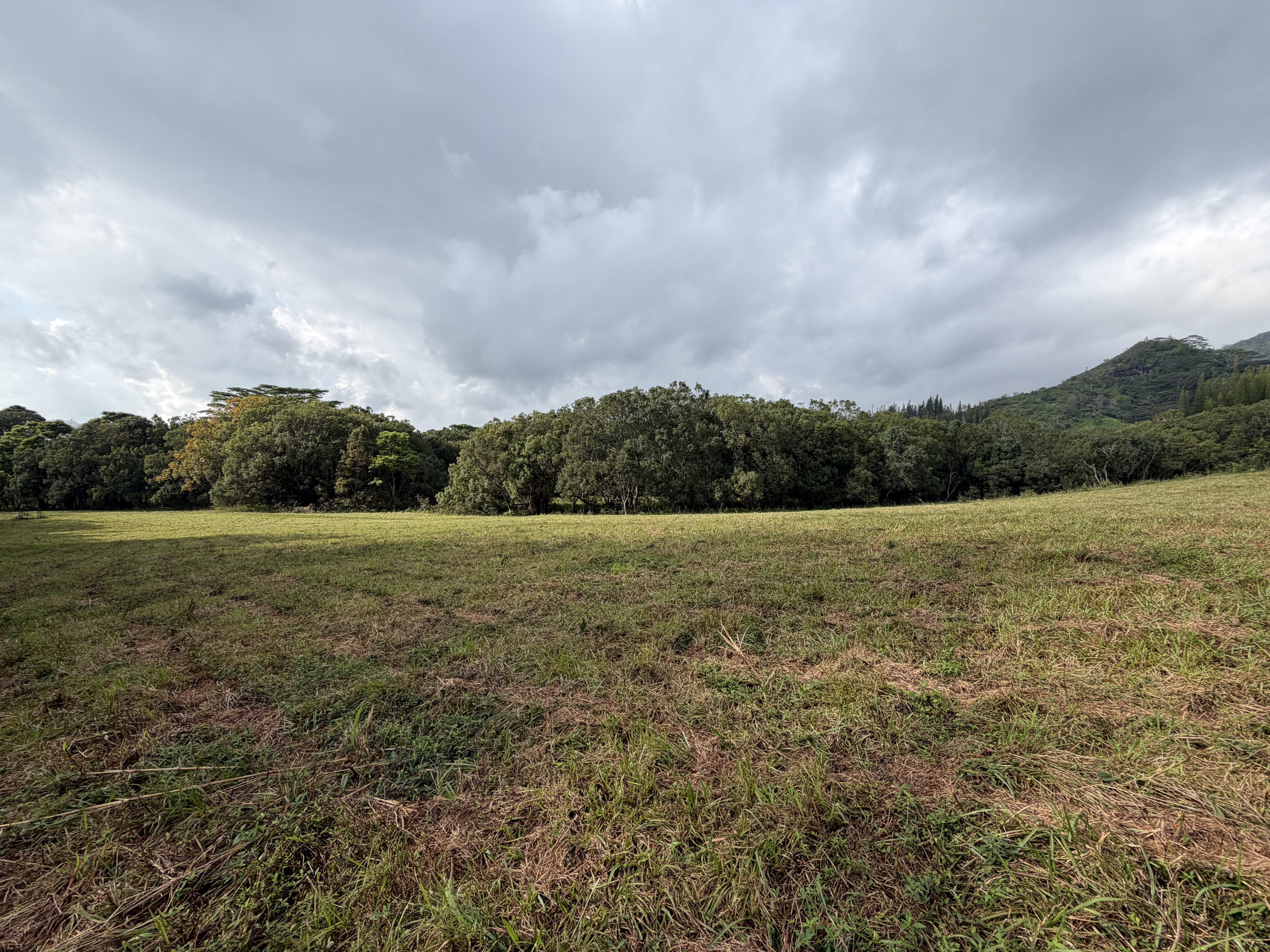 55 Ahiahi Road Kapaa, HI 96746 - Photo 24 of 26