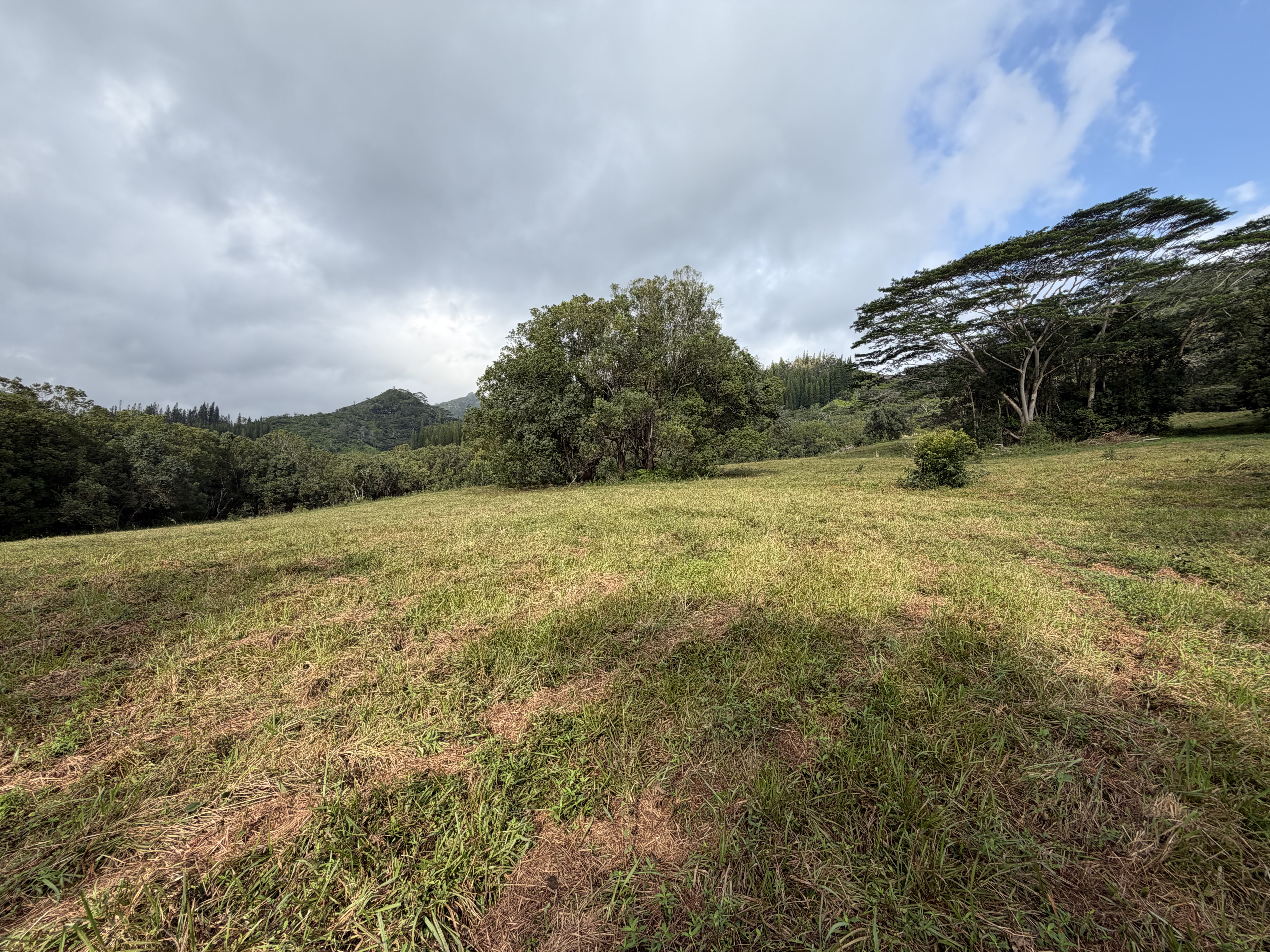 55 Ahiahi Road Kapaa, HI 96746 - Photo 25 of 26 a view of a field with an ocean