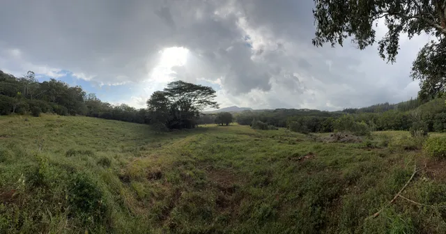 $3,300,000 | 55 Ahiahi Road, Kapaa, HI 96746