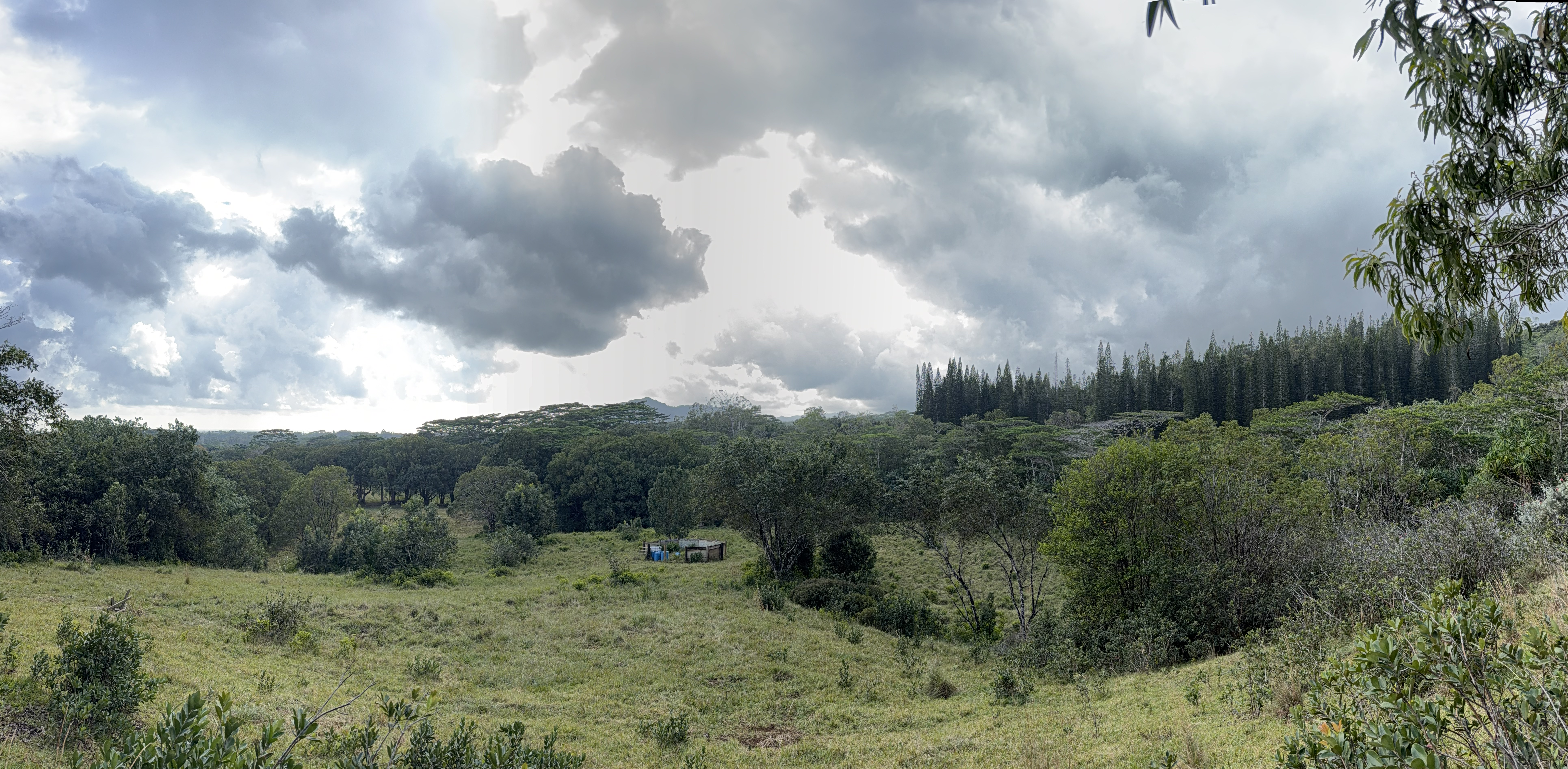 55 Ahiahi Road Kapaa, HI 96746 - Photo 3 of 26 a view of a field of grass and trees