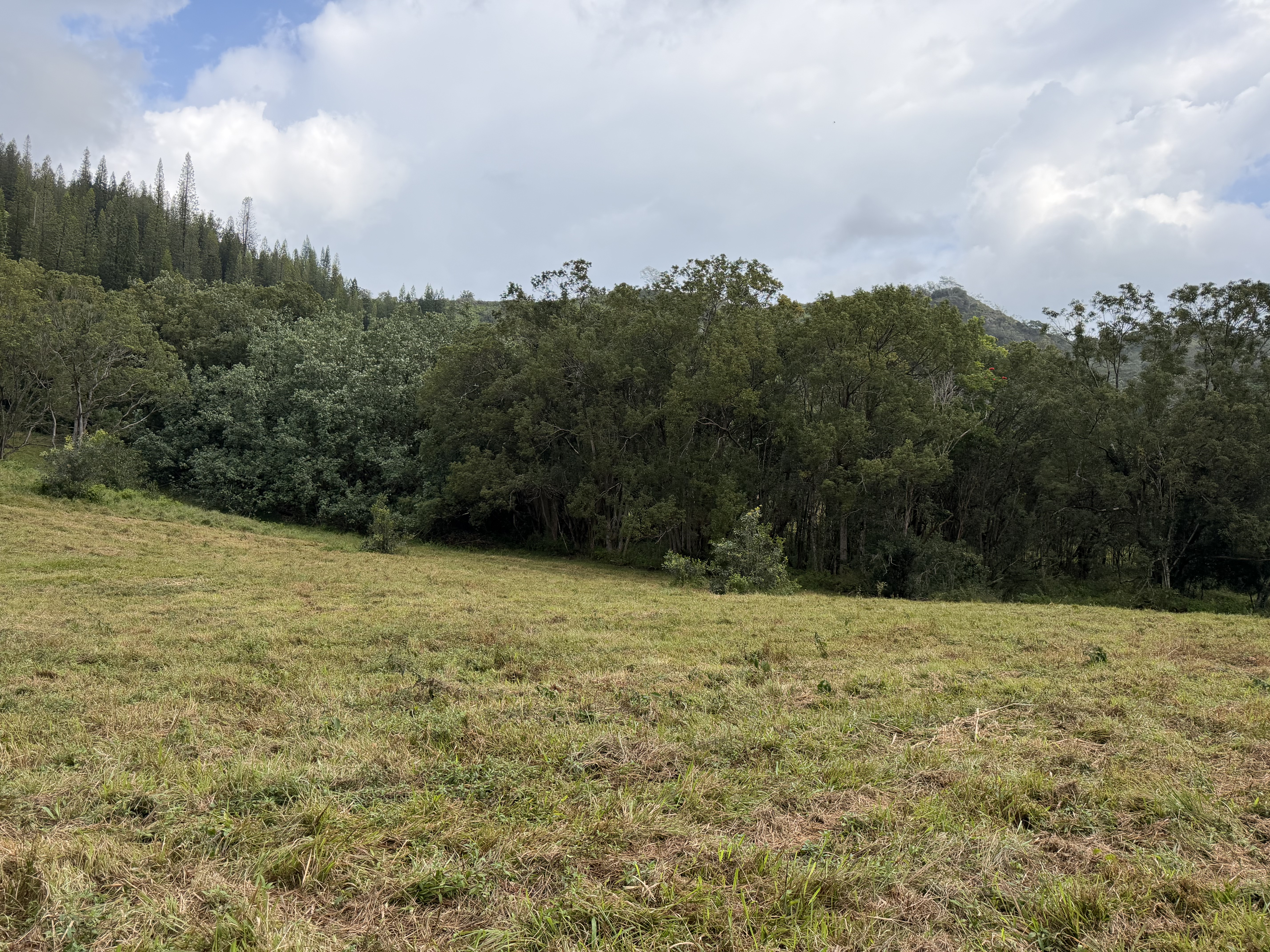 55 Ahiahi Road Kapaa, HI 96746 - Photo 6 of 26 a view of outdoor space with mountain view