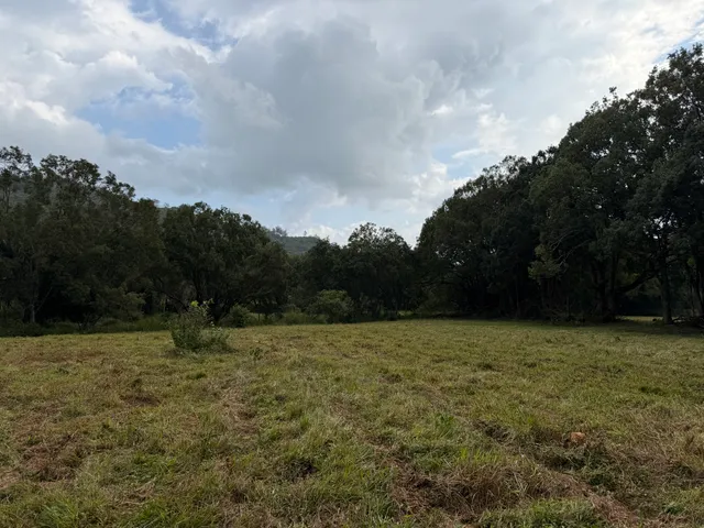 a view of basketball court