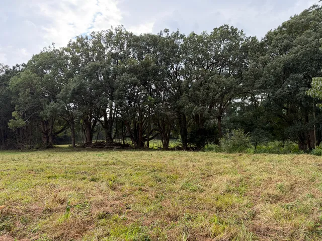 a backyard of a house with large trees