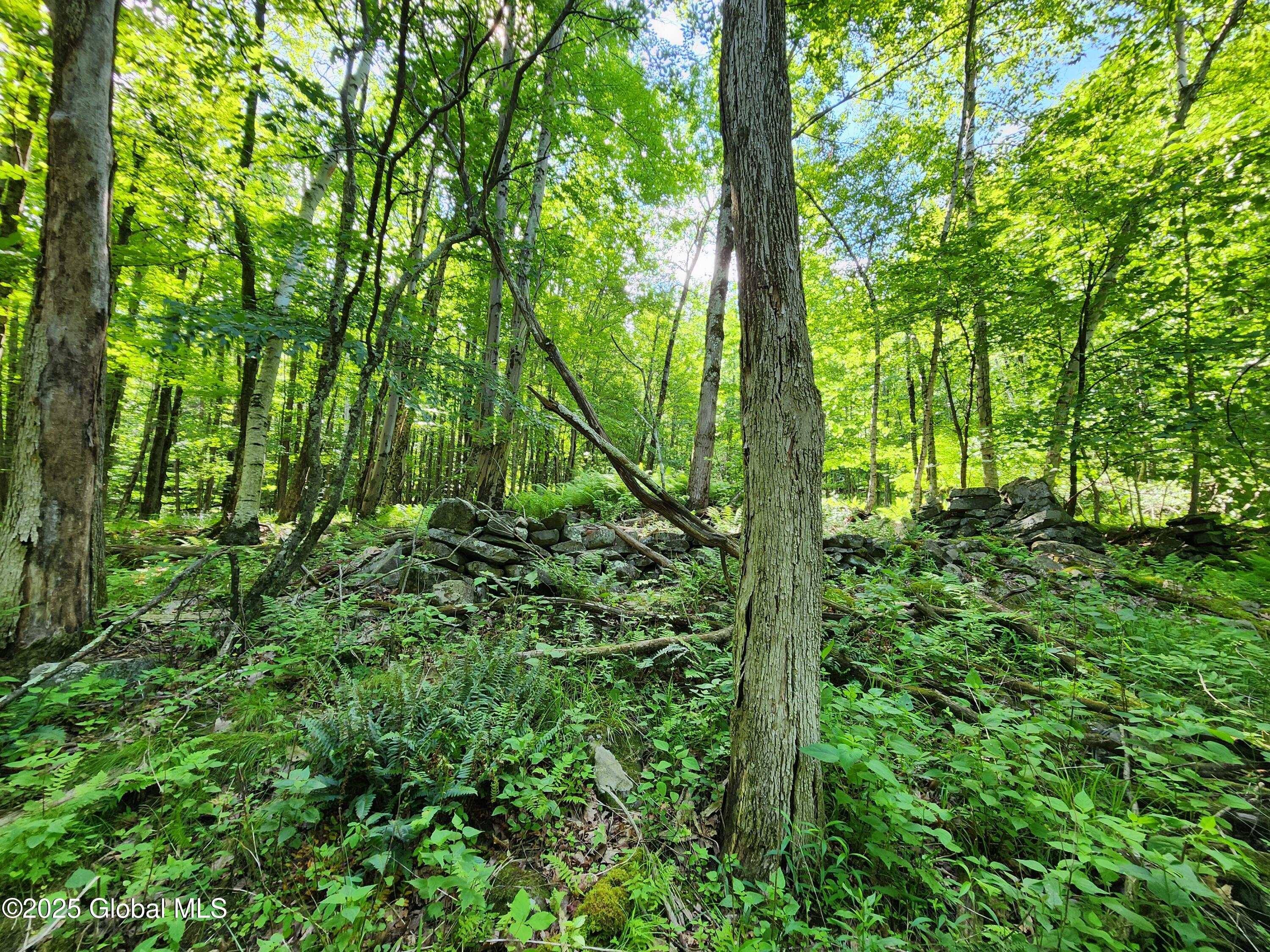 140 Roaser Road Sand Lake, NY 12153 - Photo 11 of 35 20250629_095420