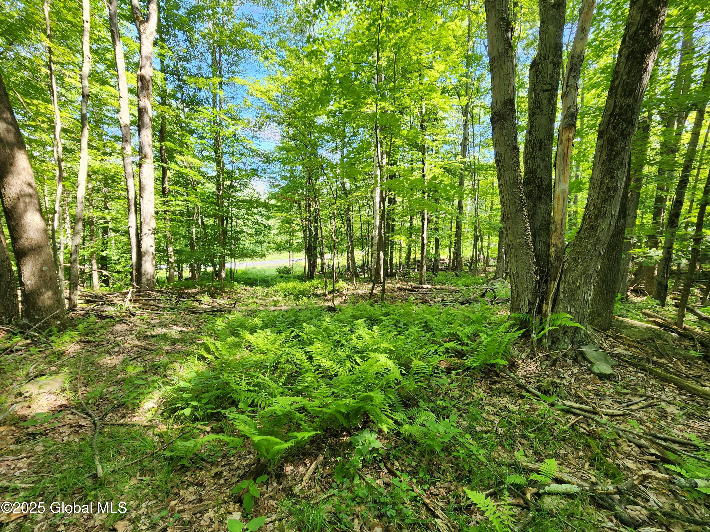140 Roaser Road Sand Lake, NY 12153 - Photo 12 of 35 20250629_095600