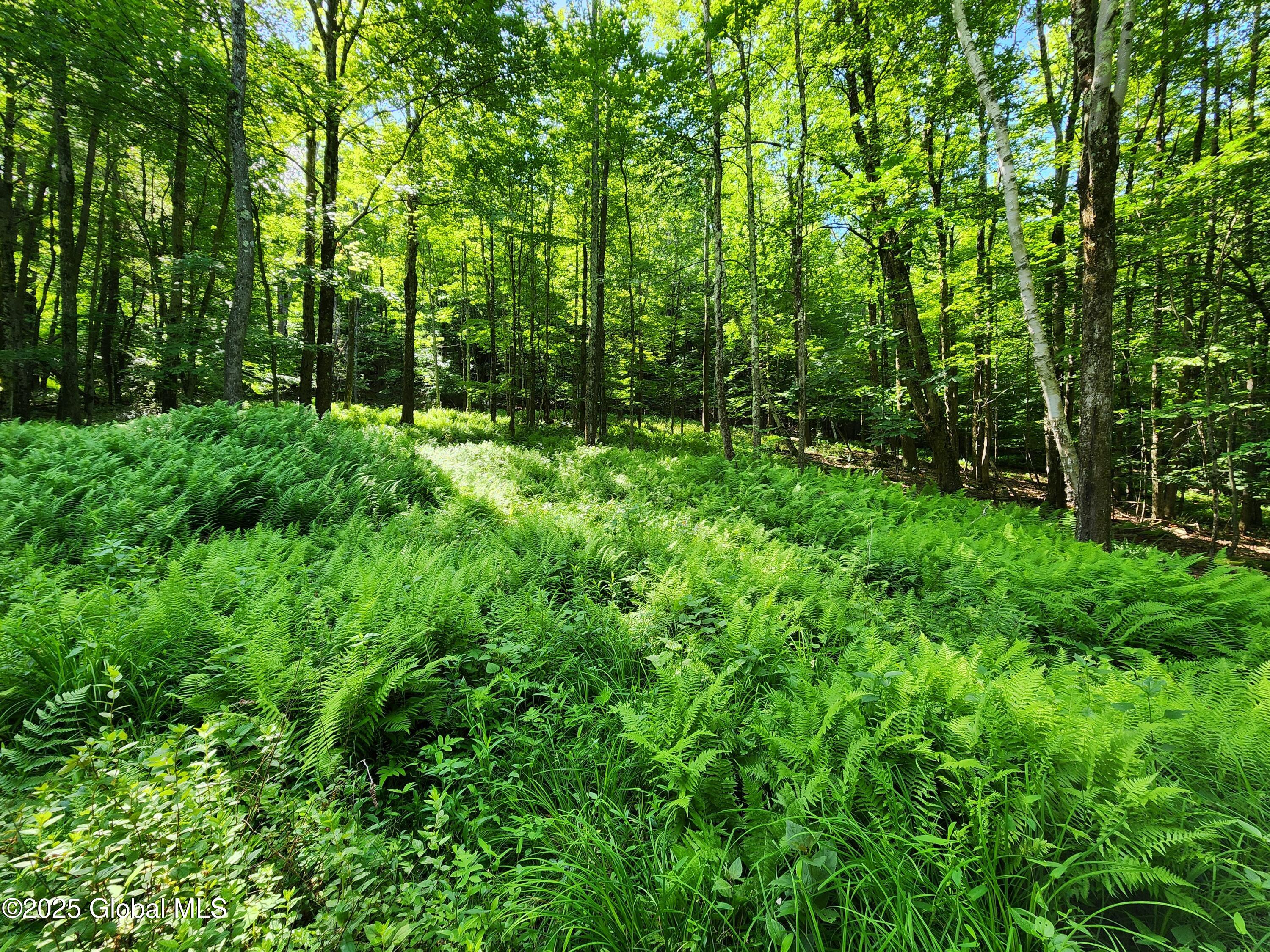 140 Roaser Road Sand Lake, NY 12153 - Photo 14 of 35 20250629_095856