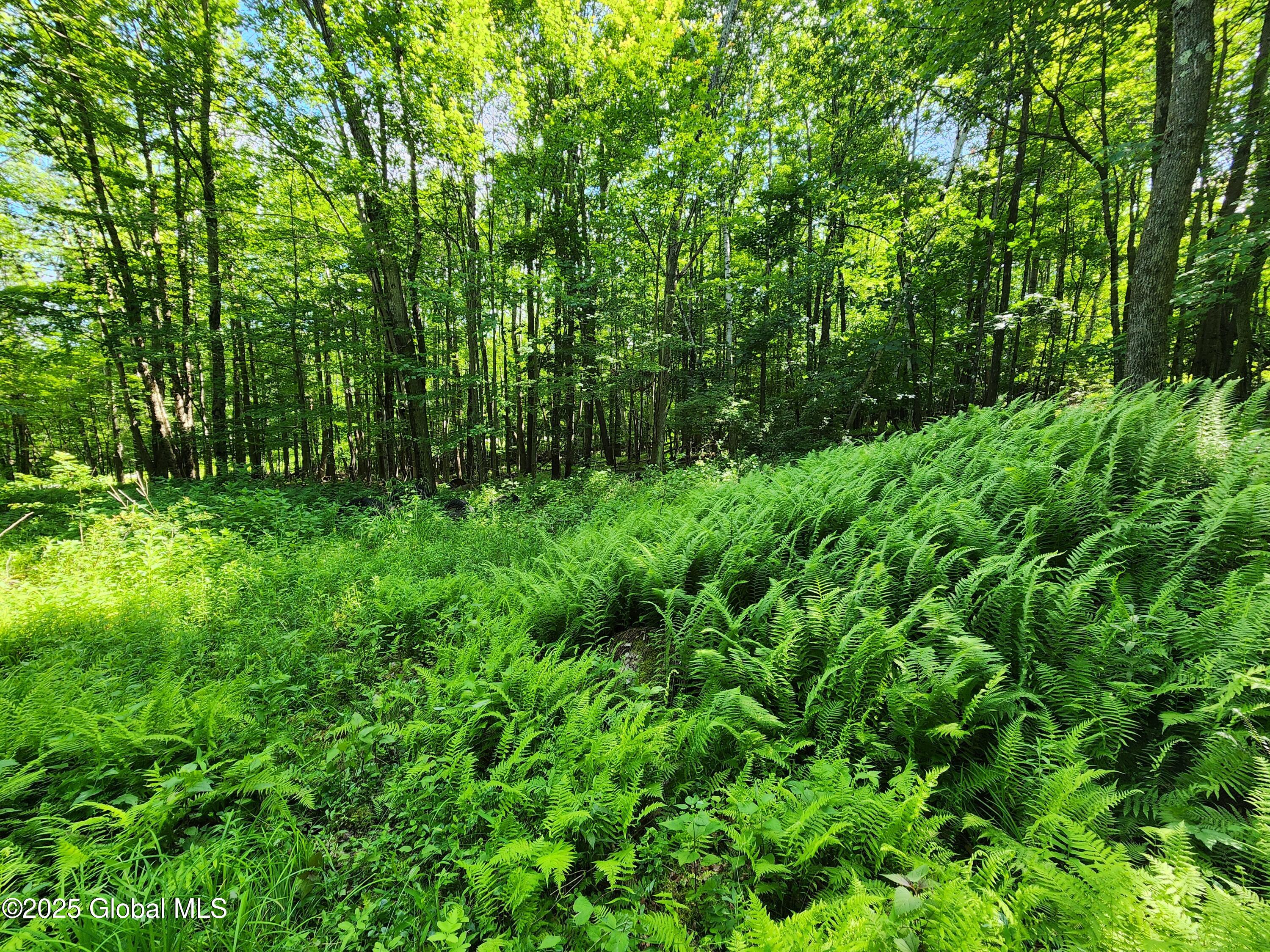 140 Roaser Road Sand Lake, NY 12153 - Photo 16 of 35 20250629_100015