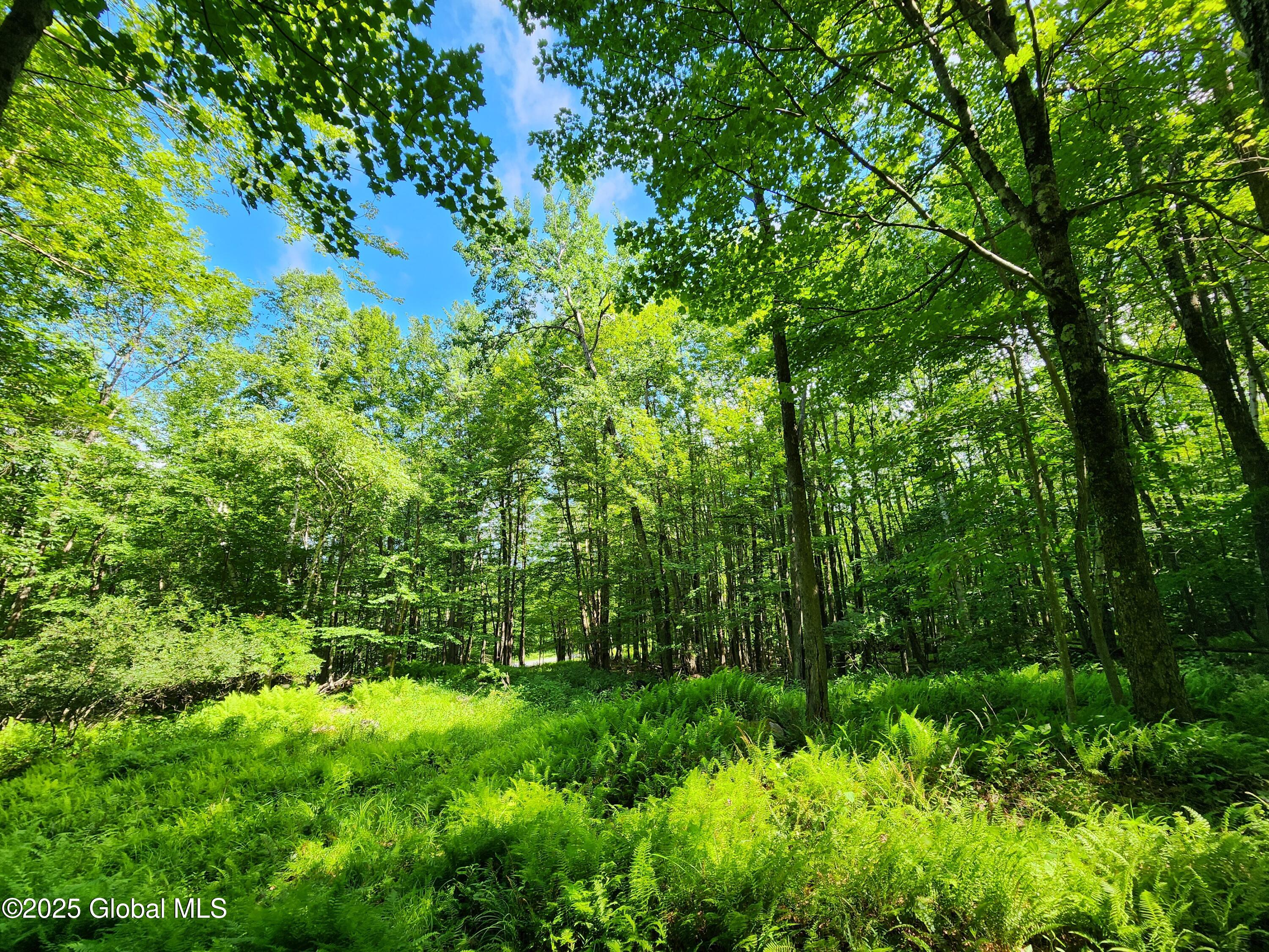 140 Roaser Road Sand Lake, NY 12153 - Photo 17 of 35 20250629_100114