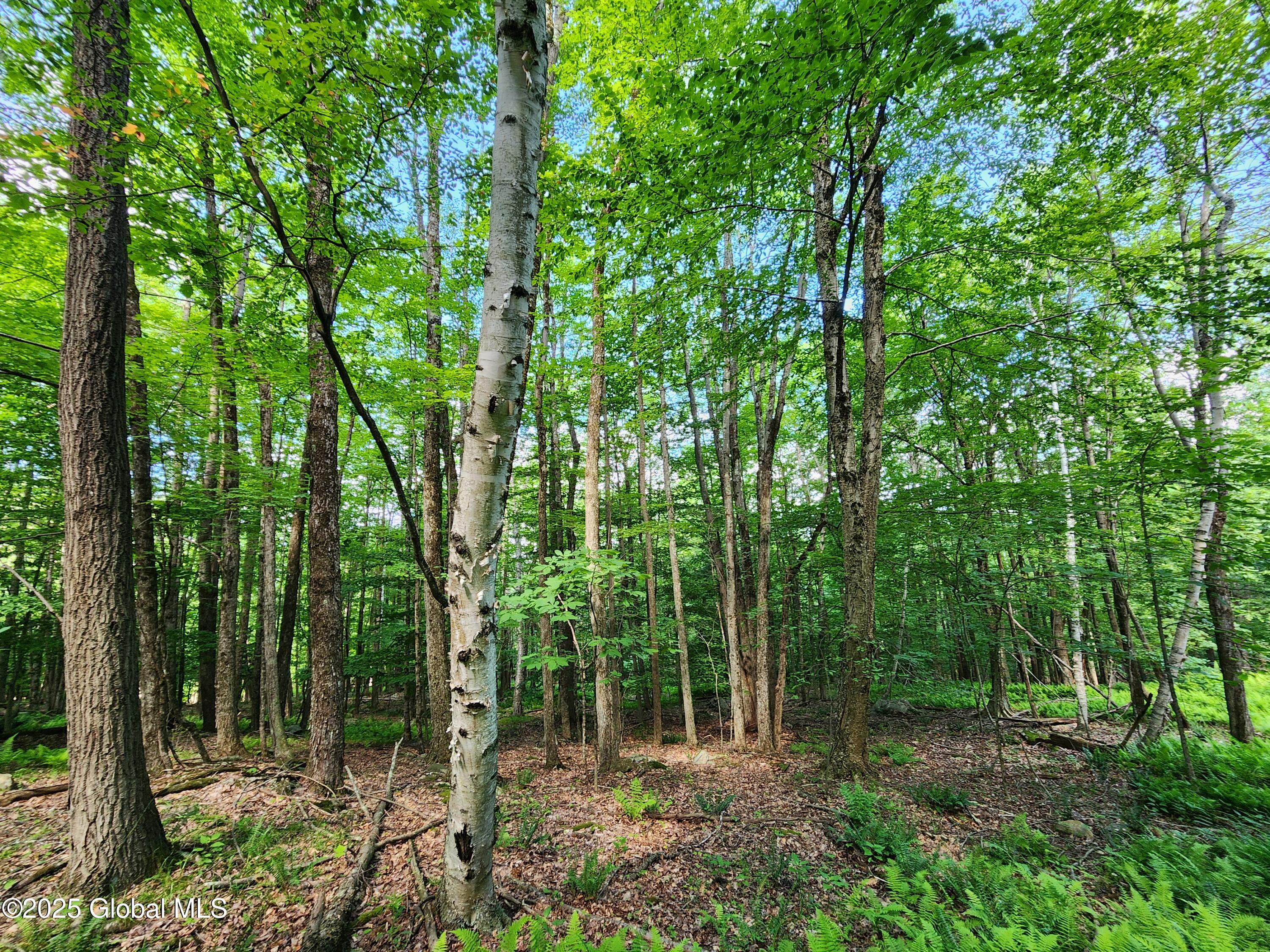 140 Roaser Road Sand Lake, NY 12153 - Photo 18 of 35 20250629_100201