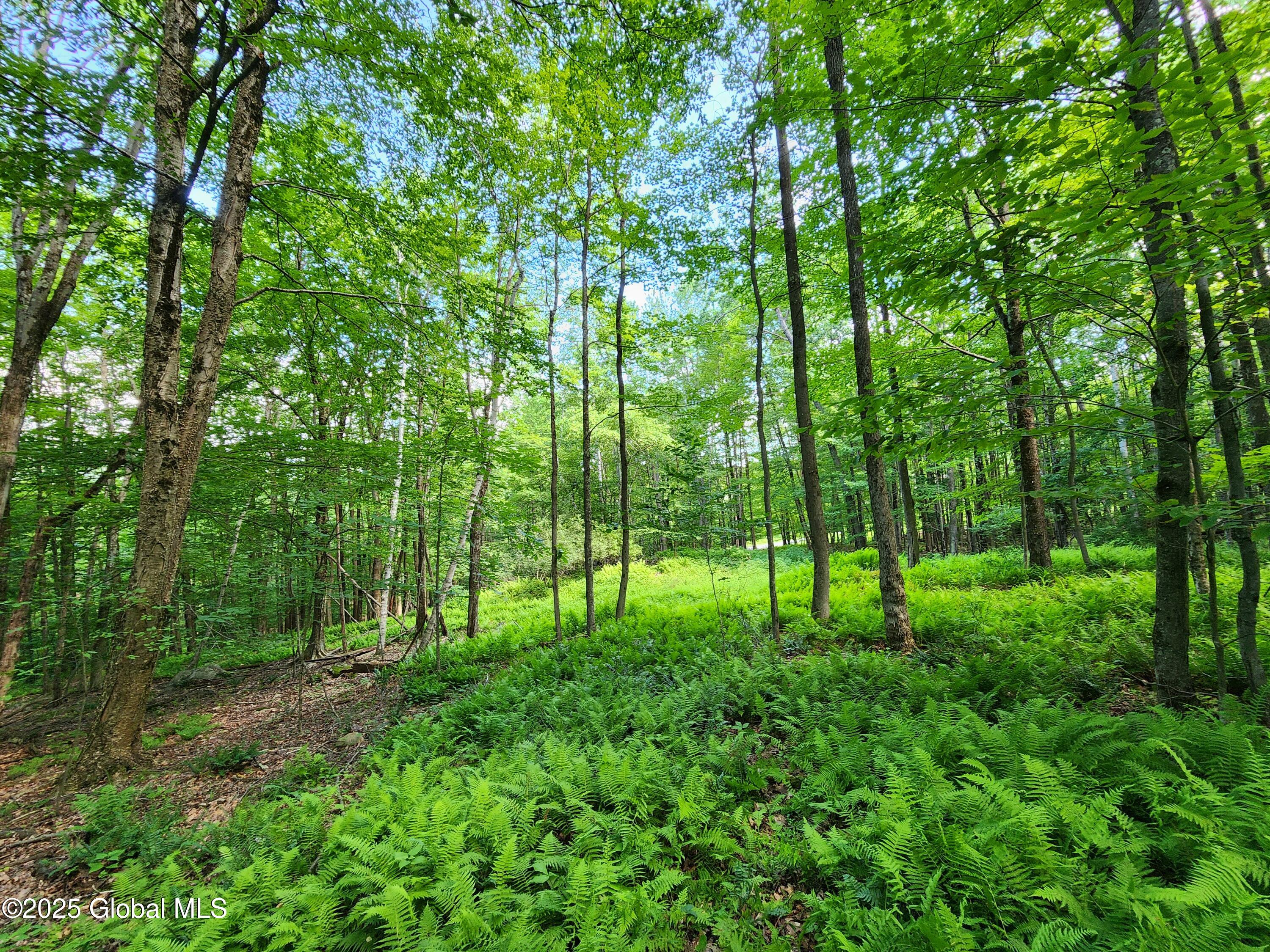 140 Roaser Road Sand Lake, NY 12153 - Photo 19 of 35 20250629_100204