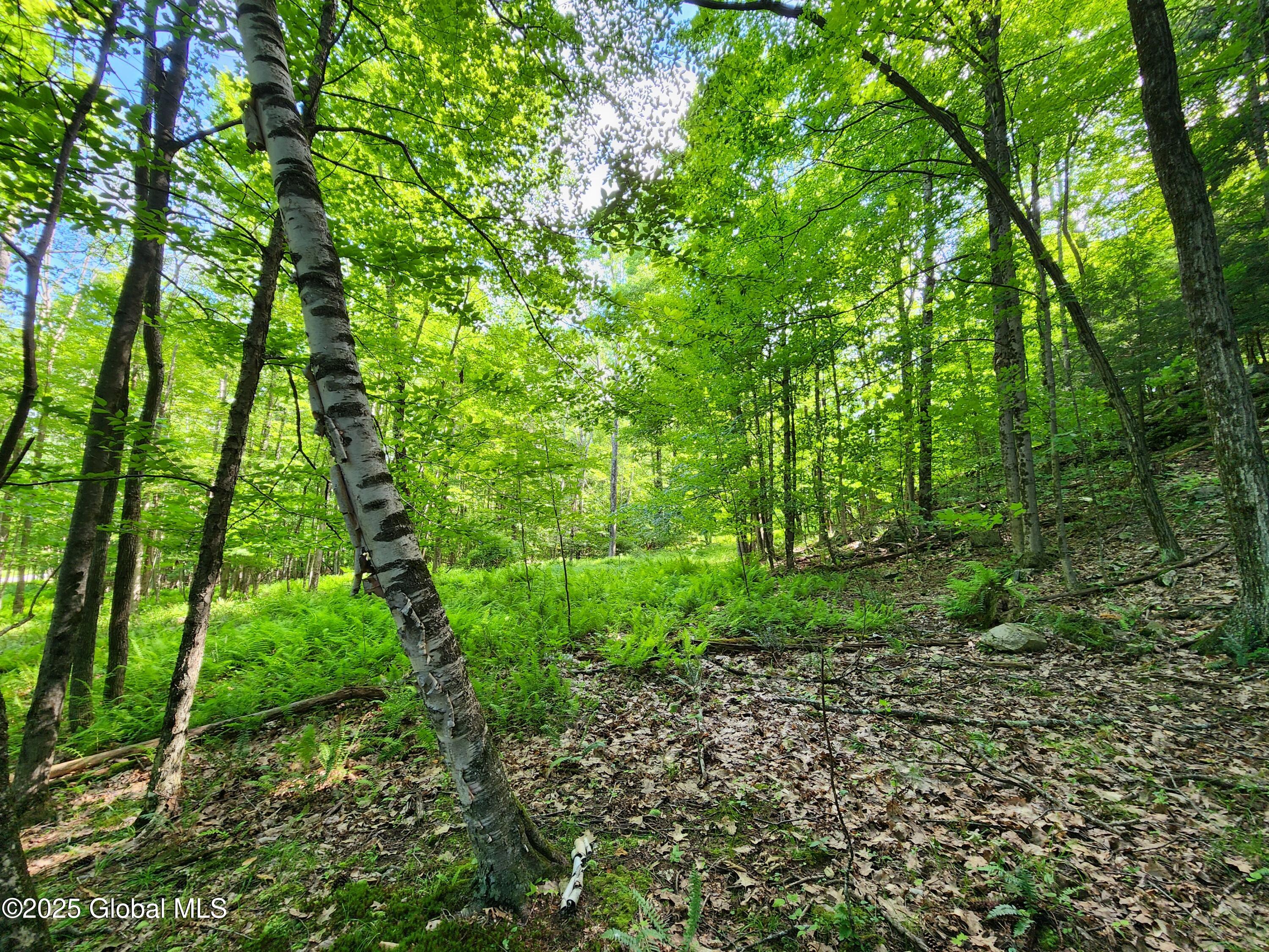 140 Roaser Road Sand Lake, NY 12153 - Photo 20 of 35 20250629_100430