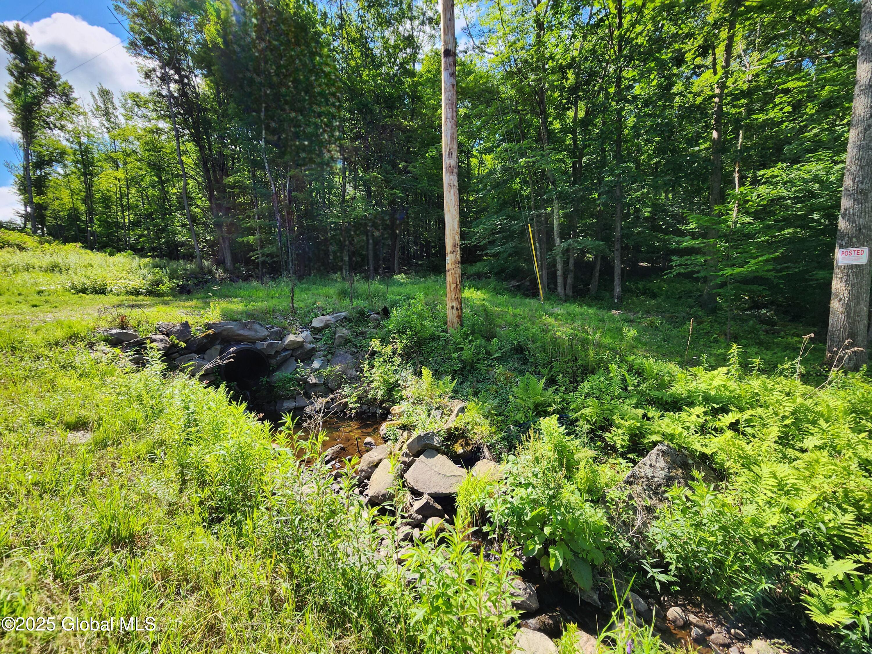 140 Roaser Road Sand Lake, NY 12153 - Photo 2 of 35 20250629_094328