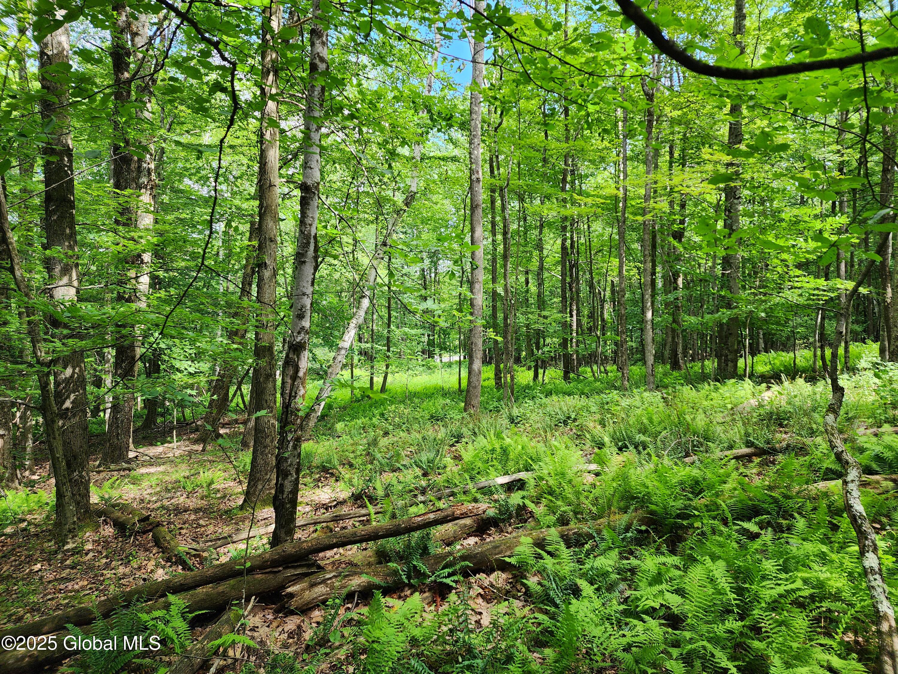 140 Roaser Road Sand Lake, NY 12153 - Photo 22 of 35 20250629_102211