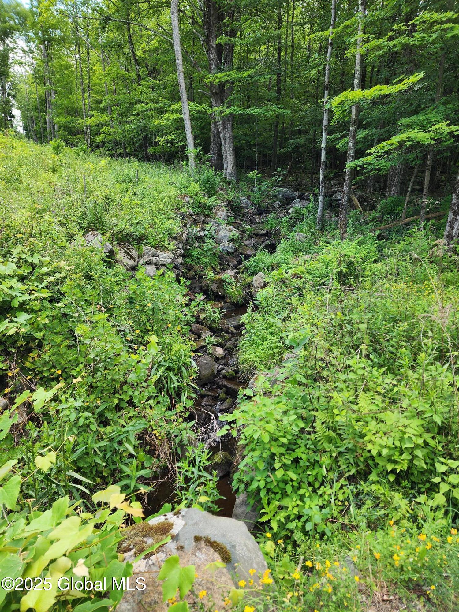 140 Roaser Road Sand Lake, NY 12153 - Photo 23 of 35 20250629_102629