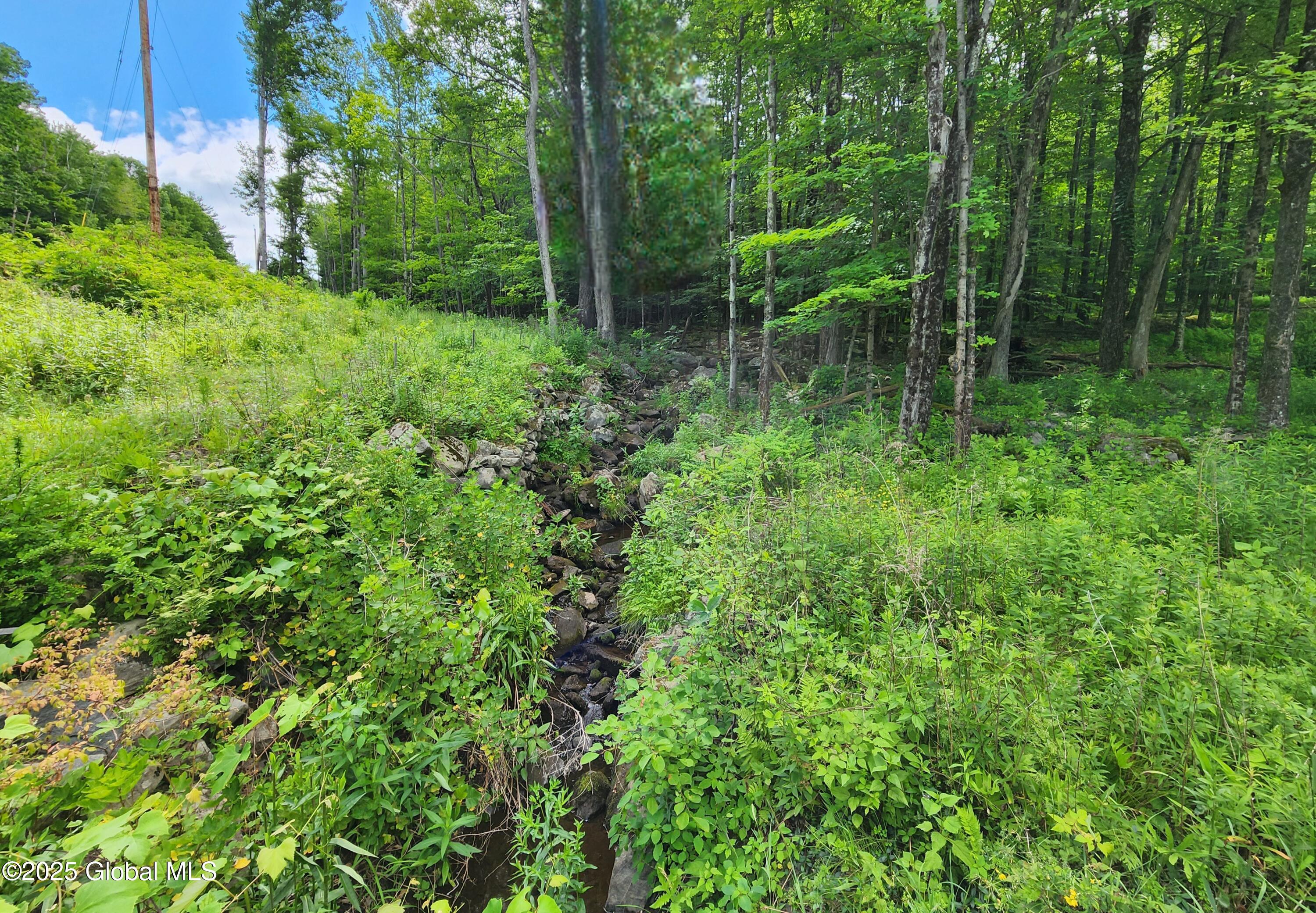 140 Roaser Road Sand Lake, NY 12153 - Photo 24 of 35 20250629_102639