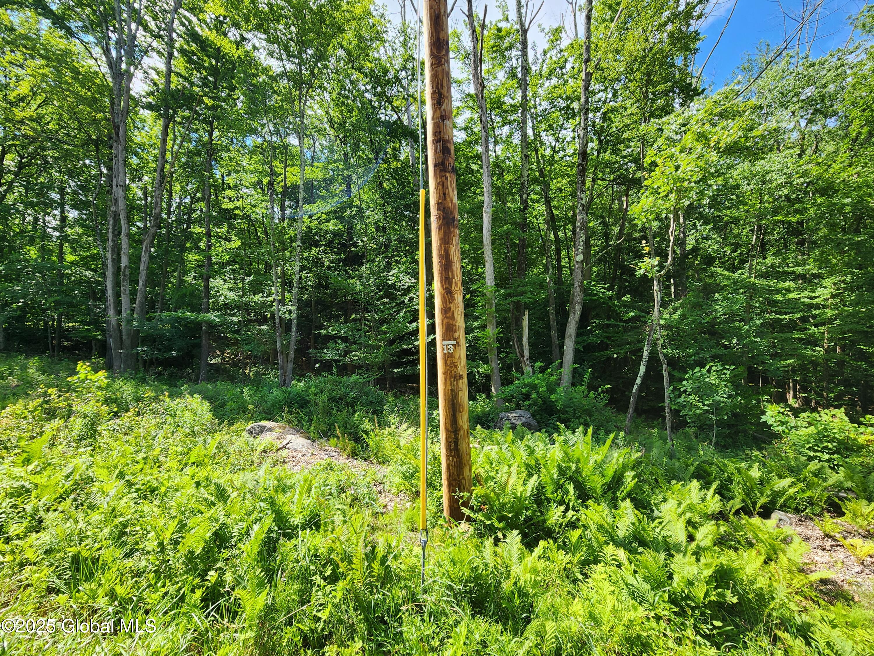 140 Roaser Road Sand Lake, NY 12153 - Photo 26 of 35 20250629_103036