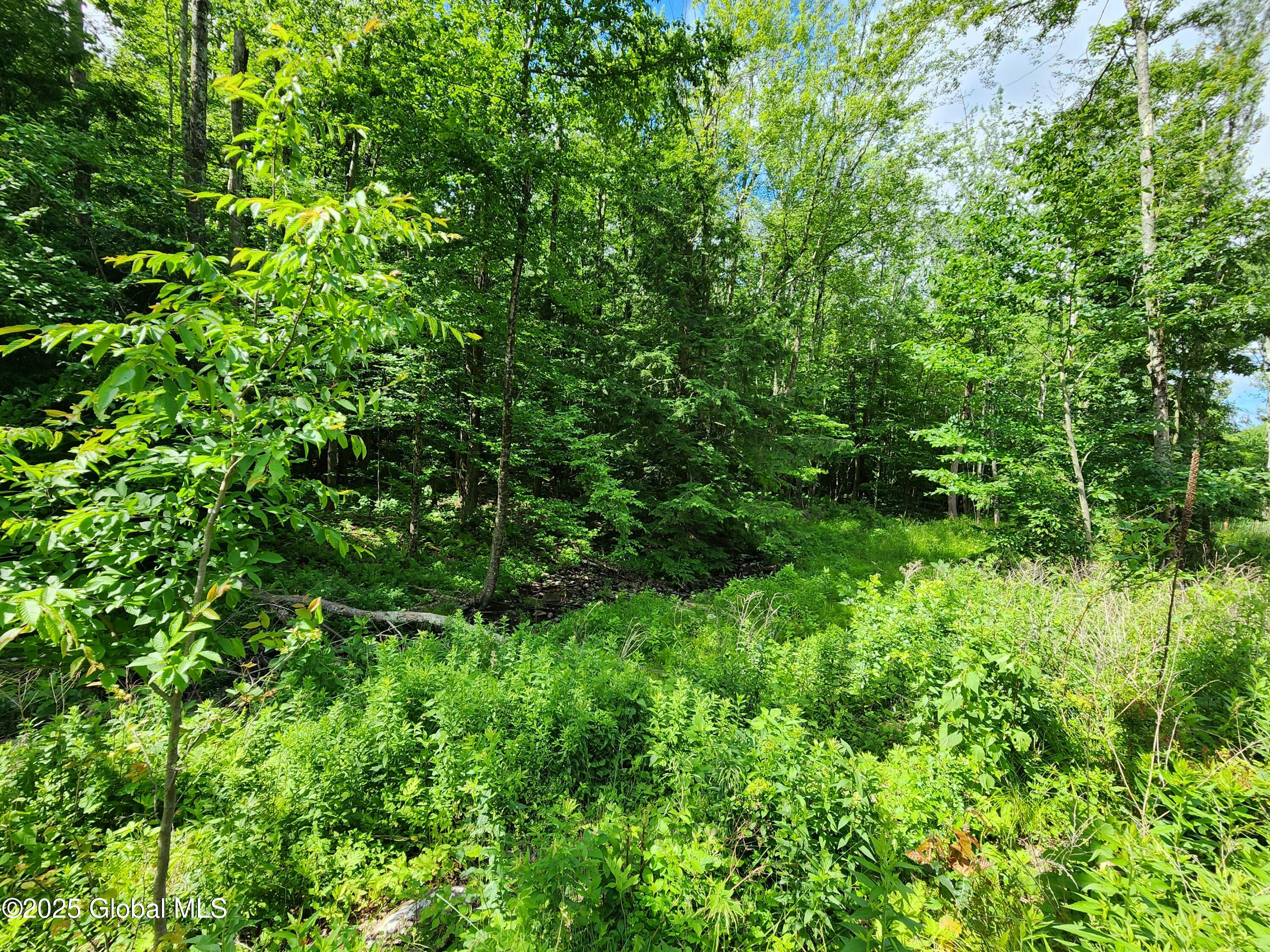 140 Roaser Road Sand Lake, NY 12153 - Photo 27 of 35 20250629_103825