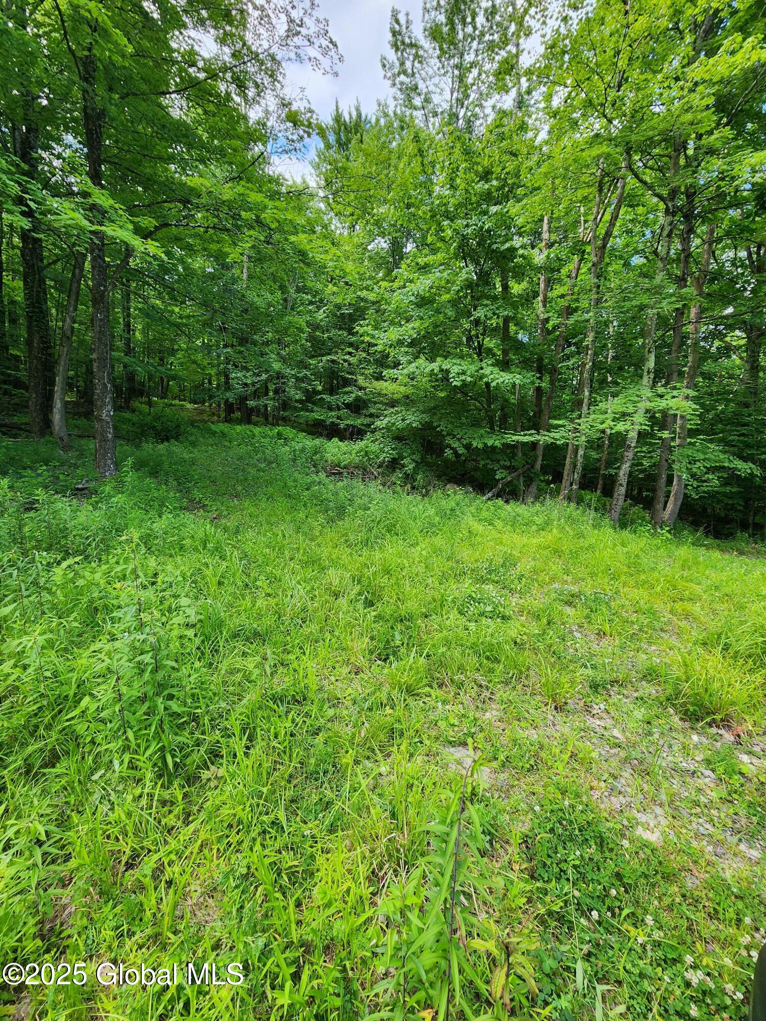 140 Roaser Road Sand Lake, NY 12153 - Photo 28 of 35 20250629_104744