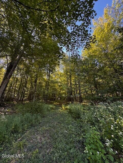 140 Roaser Road Sand Lake, NY 12153 - Photo 33 of 35 seller IMG_5832