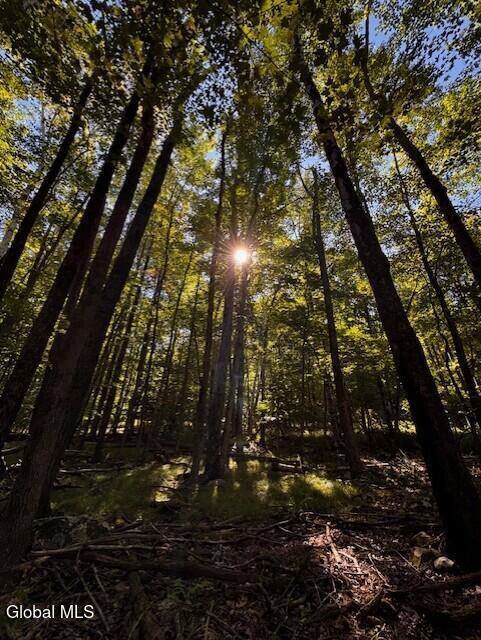 140 Roaser Road Sand Lake, NY 12153 - Photo 34 of 35 seller IMG_5839
