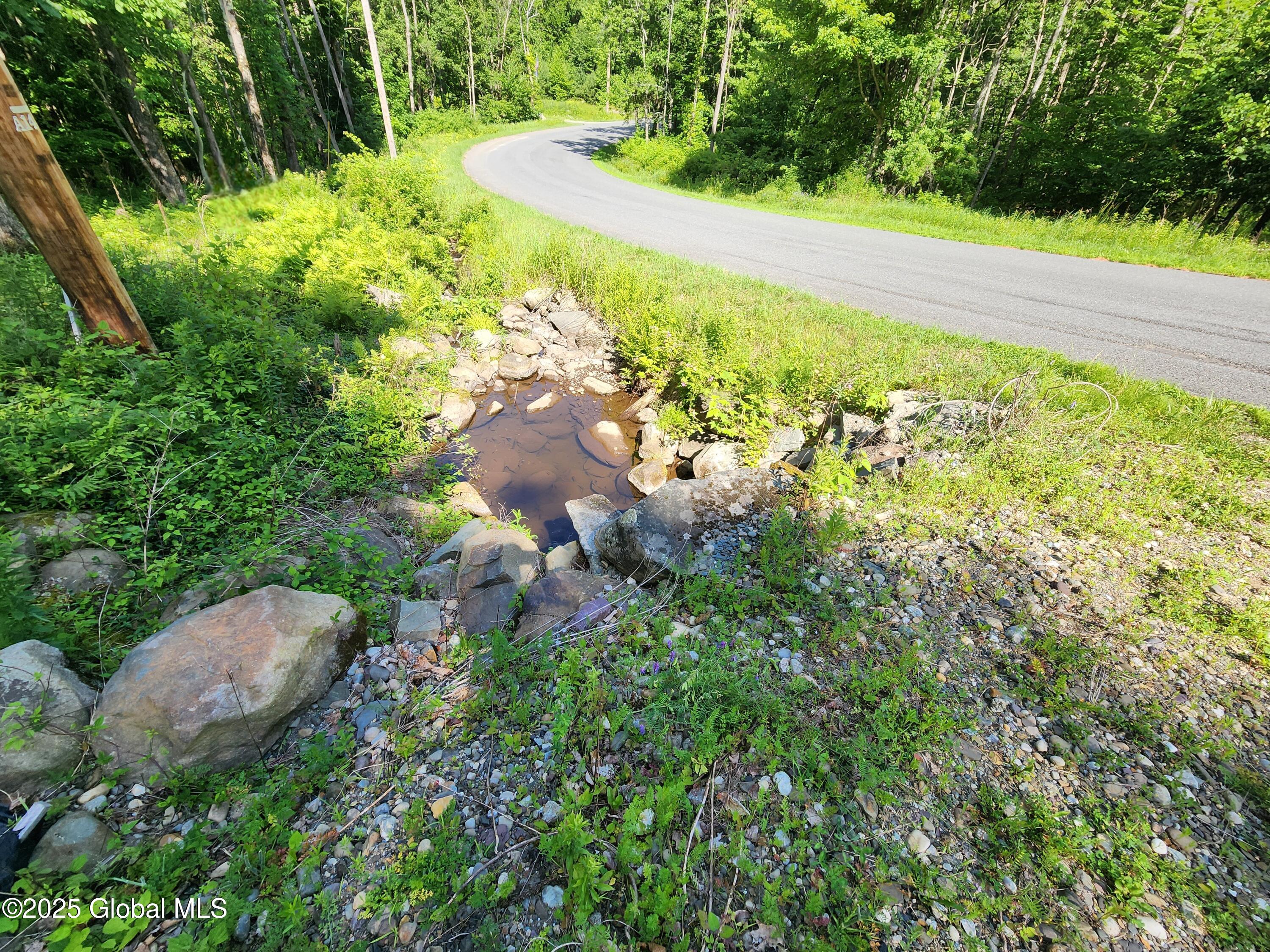 140 Roaser Road Sand Lake, NY 12153 - Photo 4 of 35 20250629_094416