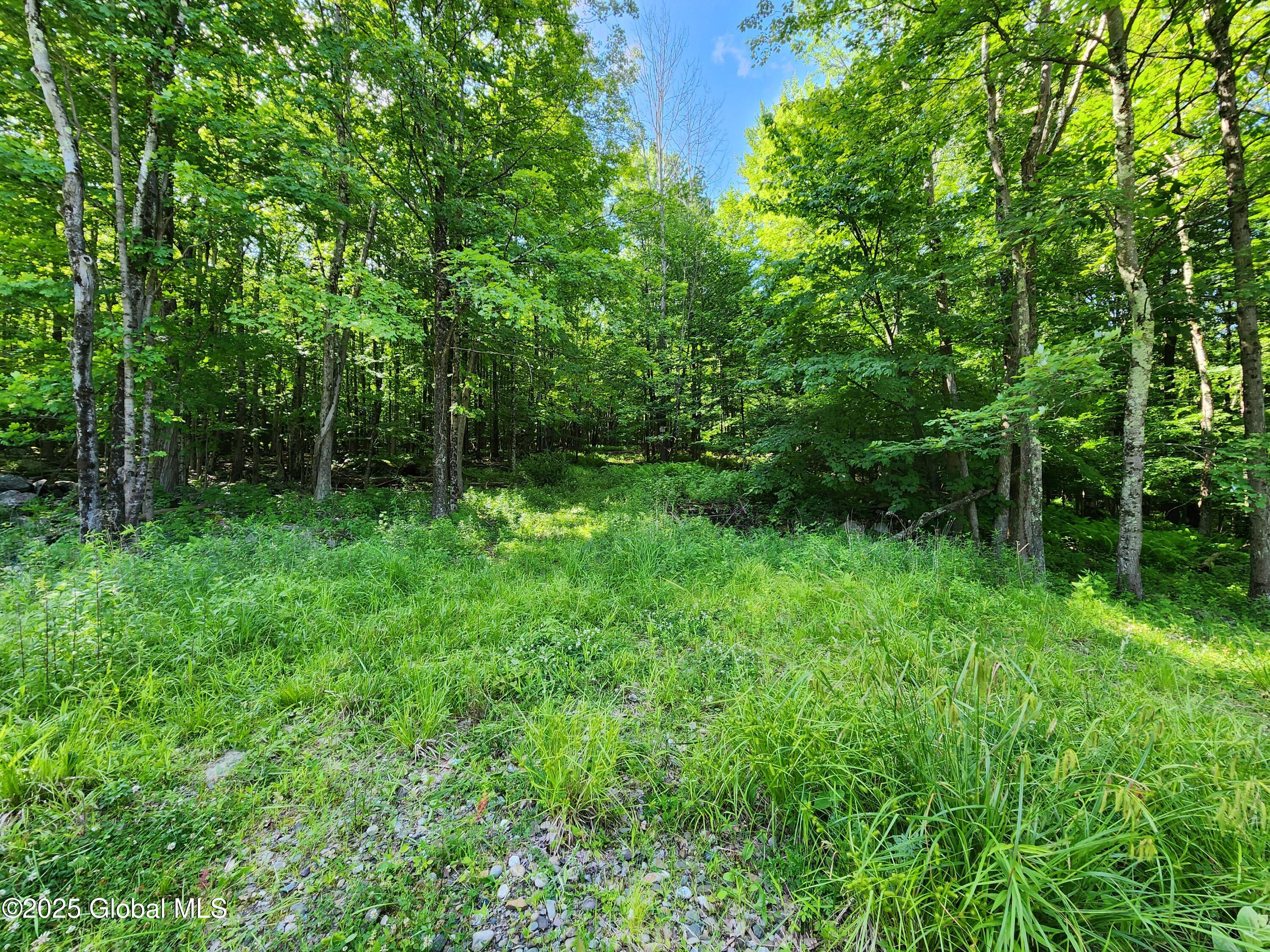 140 Roaser Road Sand Lake, NY 12153 - Photo 5 of 35 20250629_094426