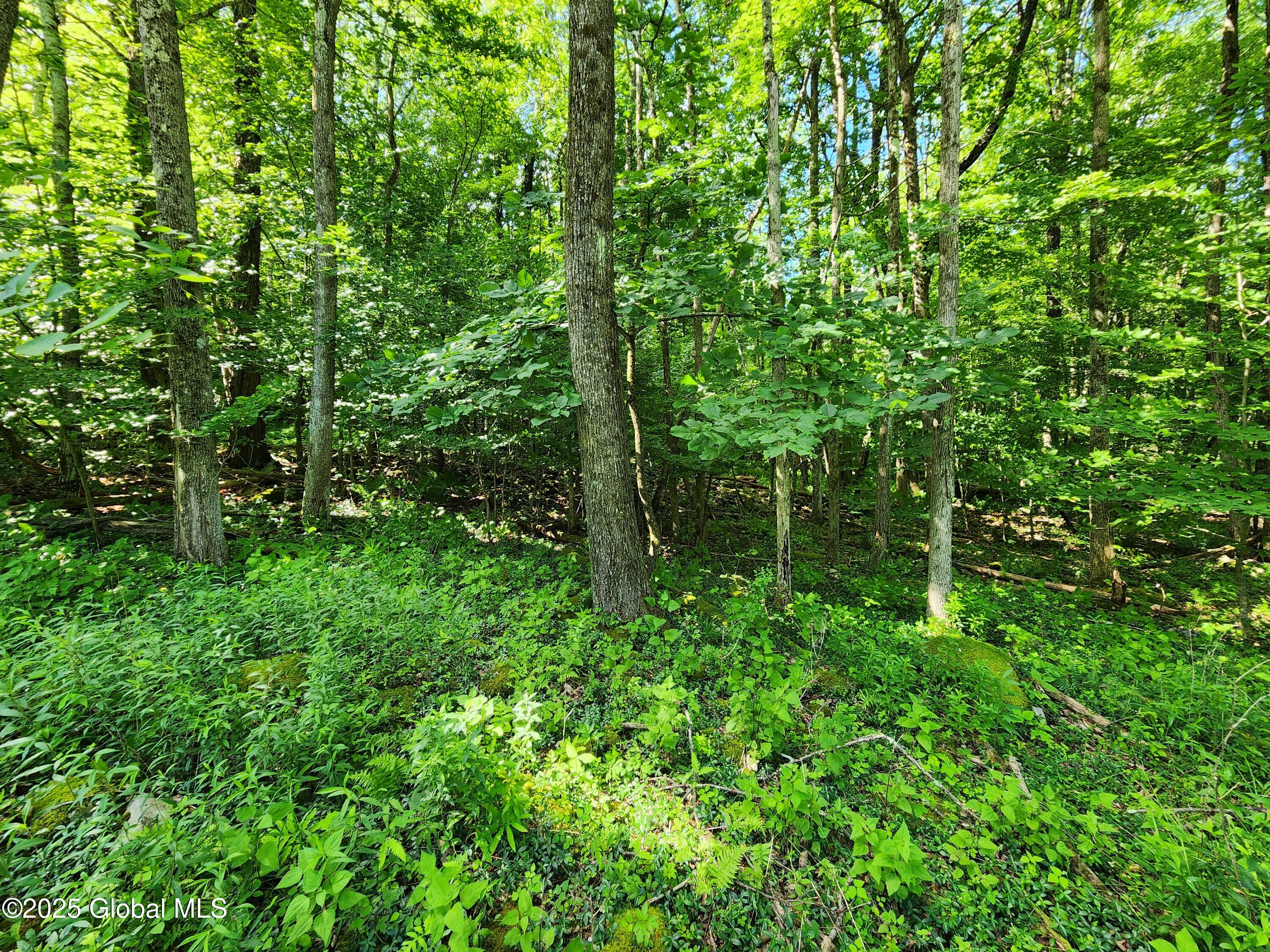 140 Roaser Road Sand Lake, NY 12153 - Photo 6 of 35 20250629_094553