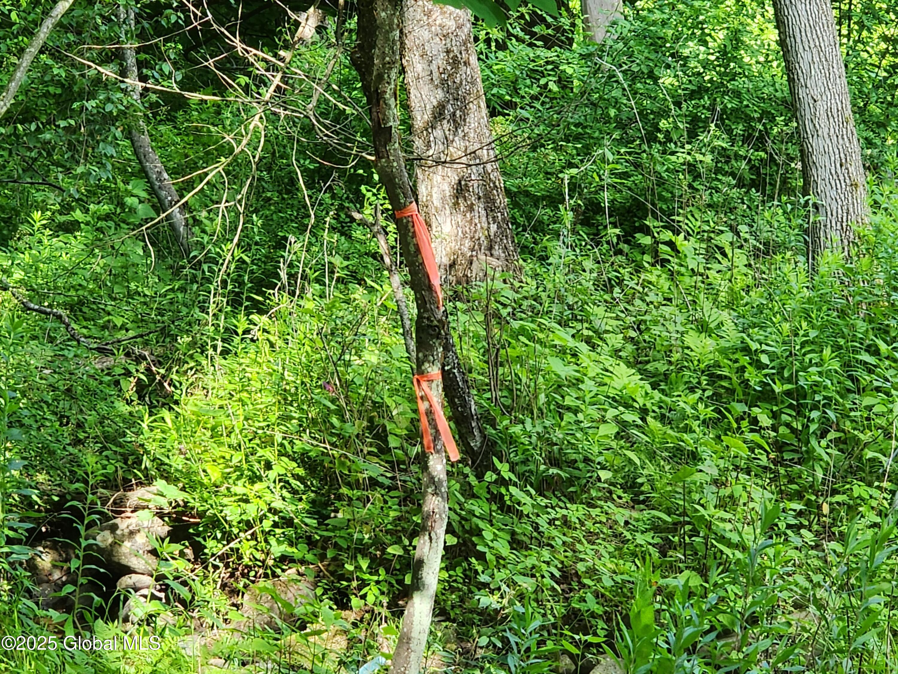 140 Roaser Road Sand Lake, NY 12153 - Photo 7 of 35 20250629_094856