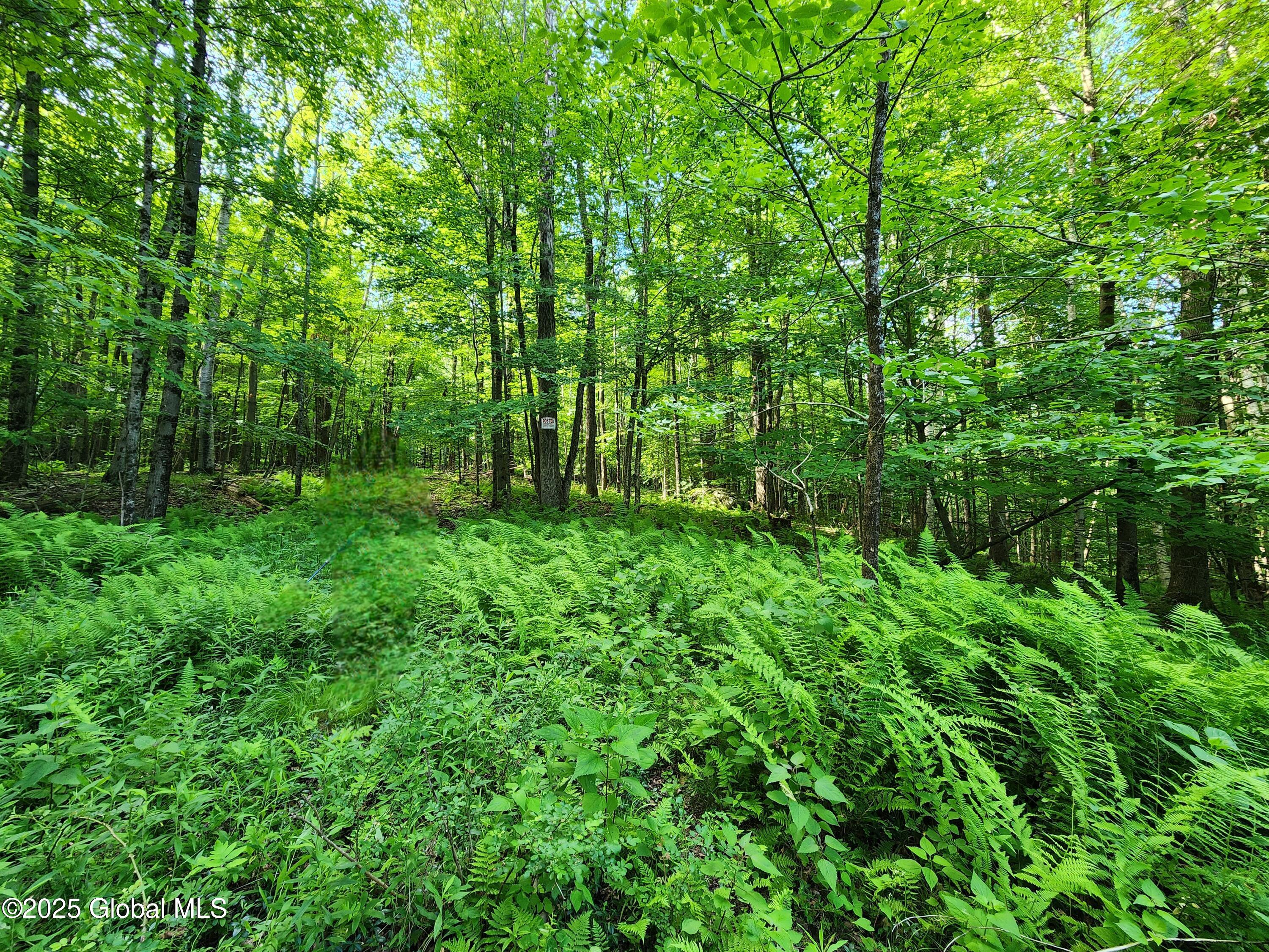 140 Roaser Road Sand Lake, NY 12153 - Photo 8 of 35 20250629_095114