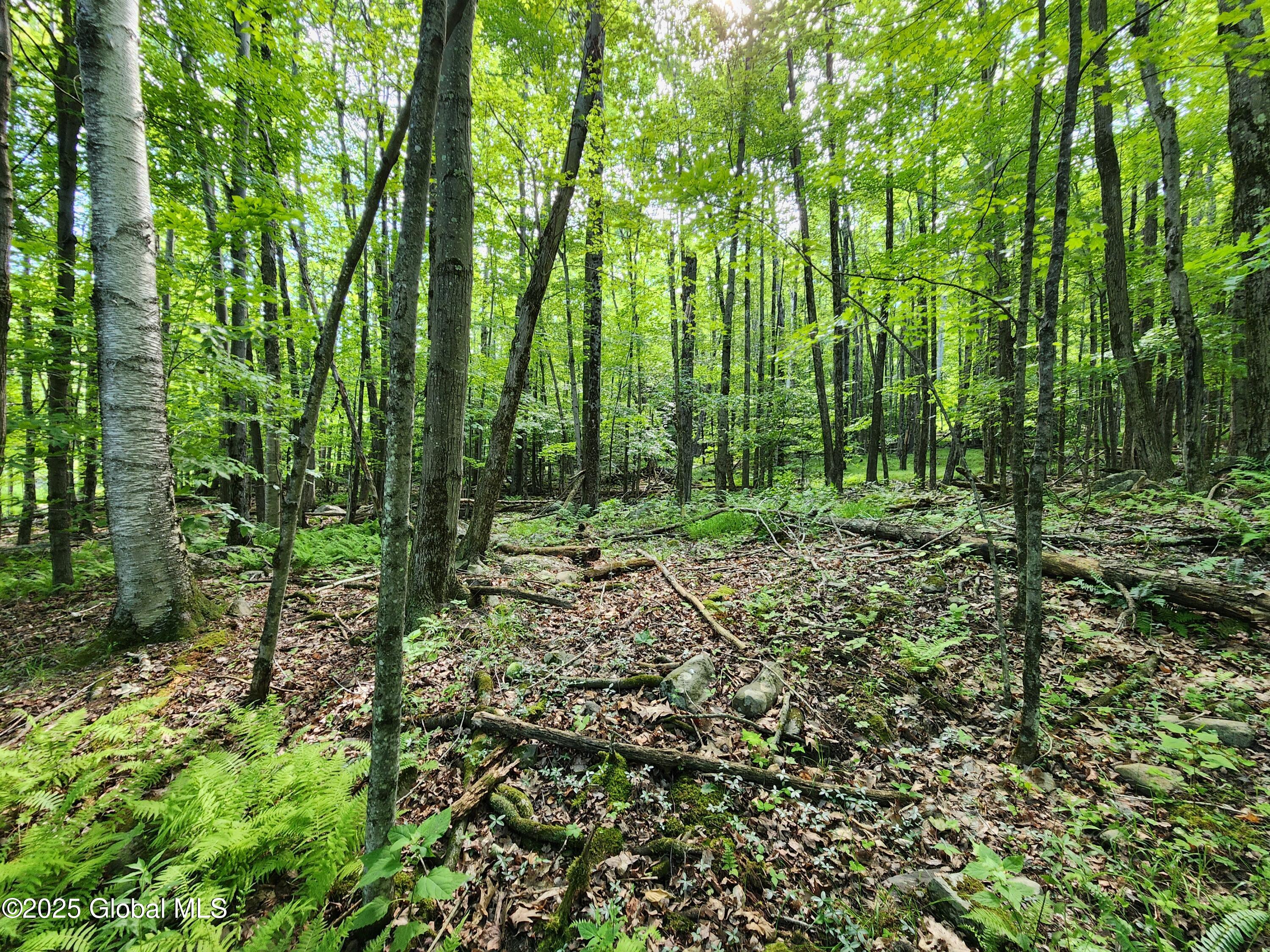 140 Roaser Road Sand Lake, NY 12153 - Photo 9 of 35 20250629_095203