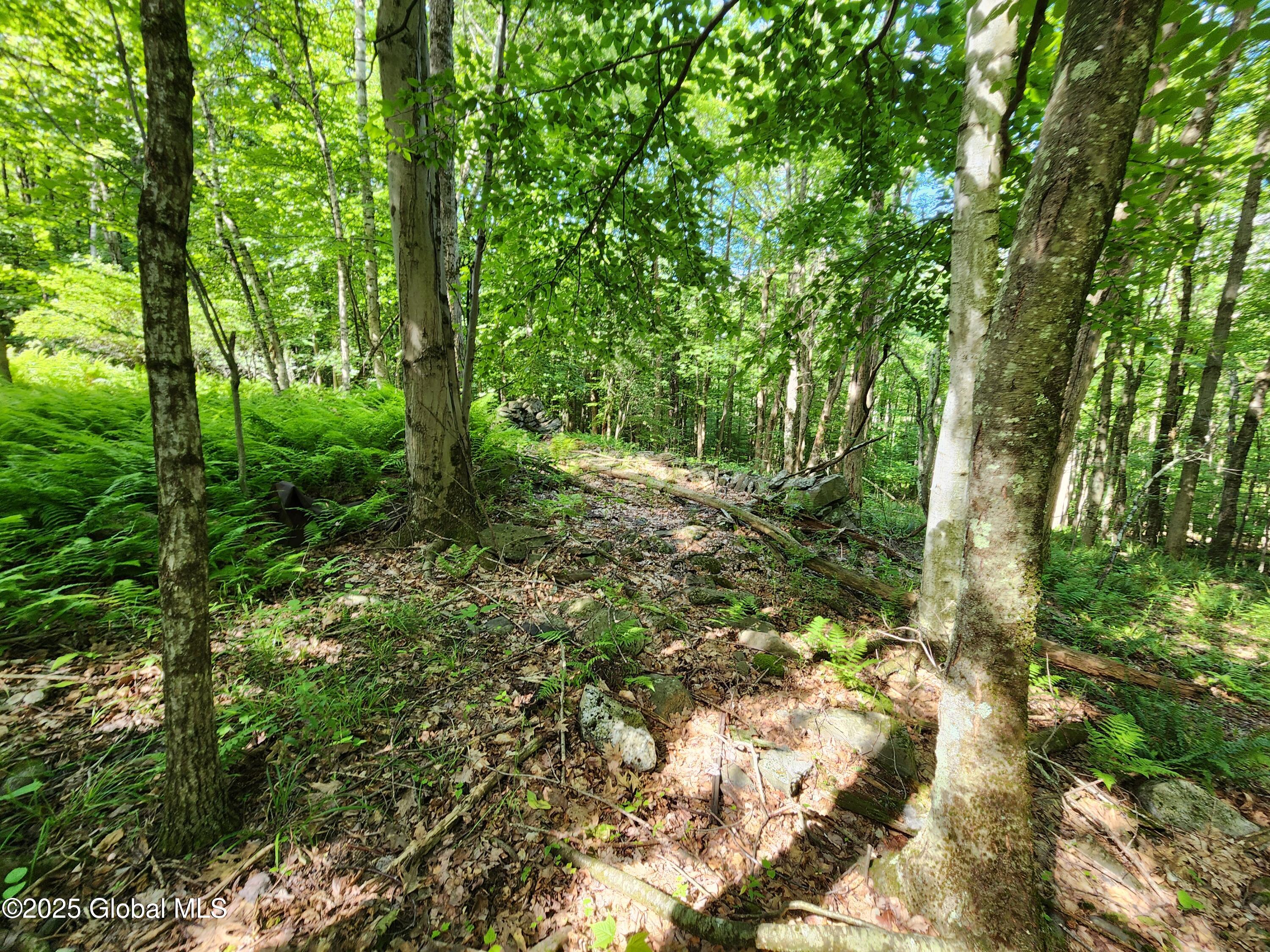 140 Roaser Road Sand Lake, NY 12153 - Photo 10 of 35 20250629_095258