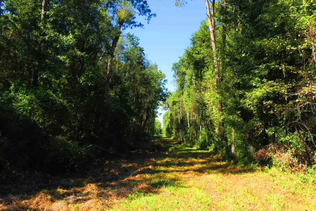 $275,000 | 4420 Blue Bill Pass, Tallahassee, FL 32303