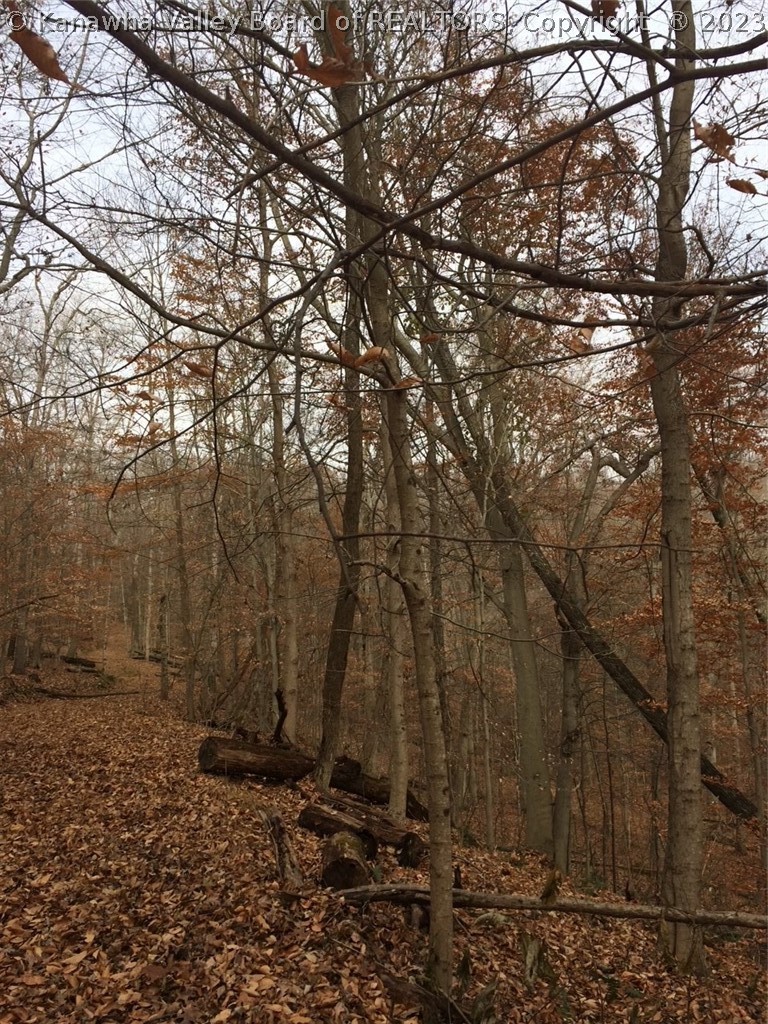 0 Rocky Step Road Winfield, WV 25213 - Photo 4 of 8 Gallery Image 4