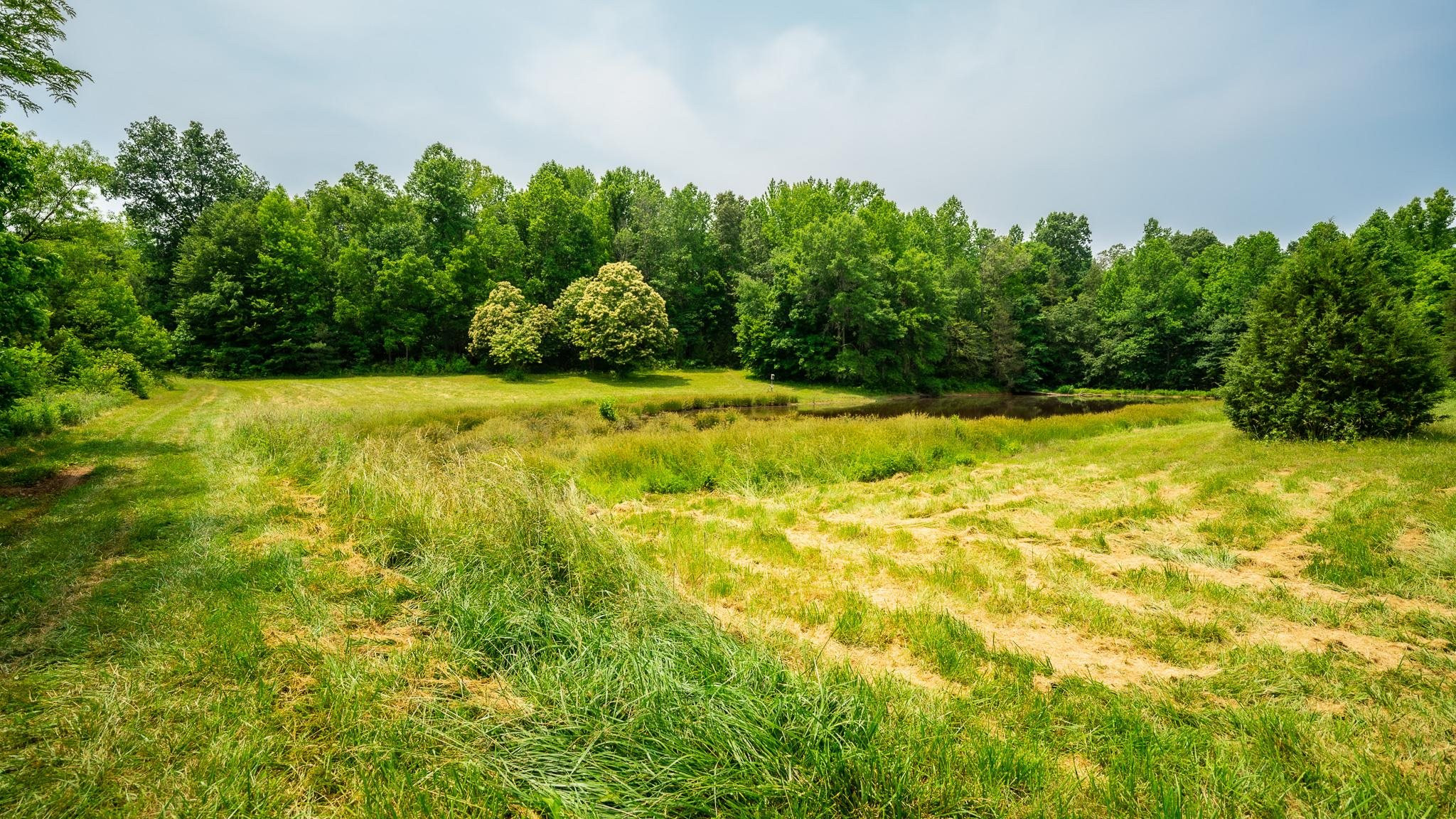 46-acres Durham Road Timberlake, NC 27583 - Photo 12 of 38 Photo 12