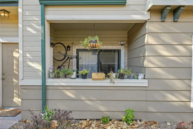 a front view of a house with a potted plant and a window